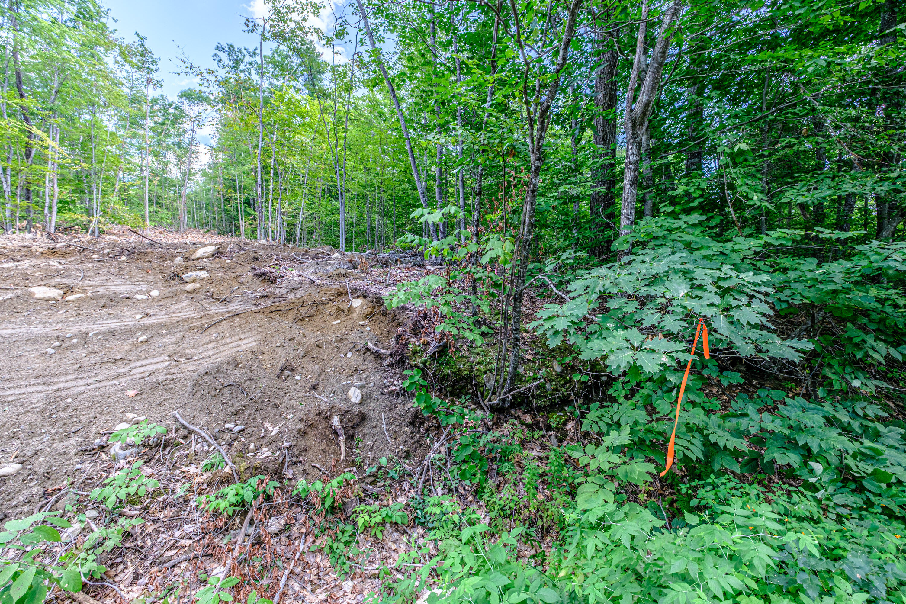 Lot 22 Bear Mountain Road Property Photo 18
