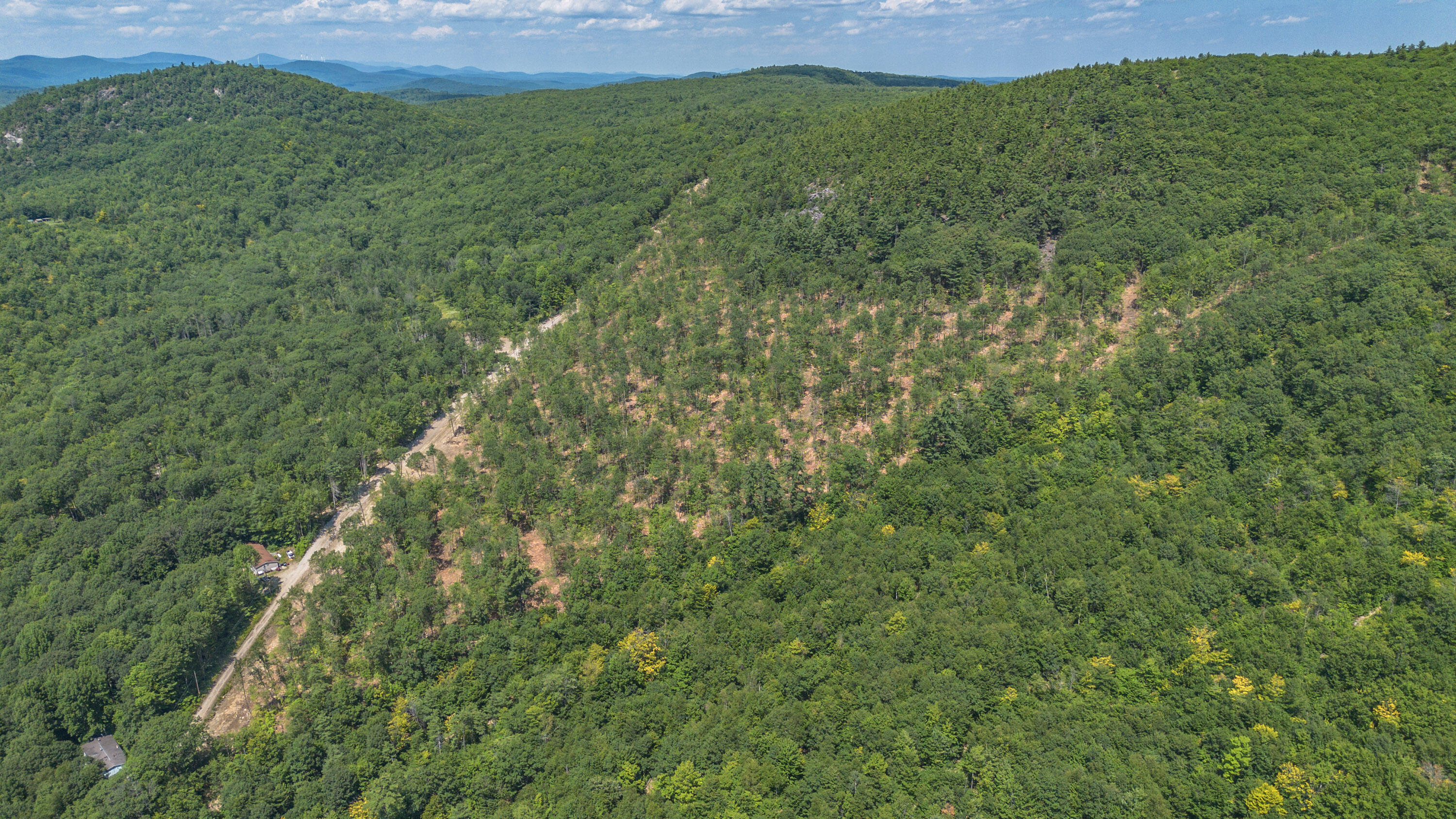 Lot 22 Bear Mountain Road Property Photo 21