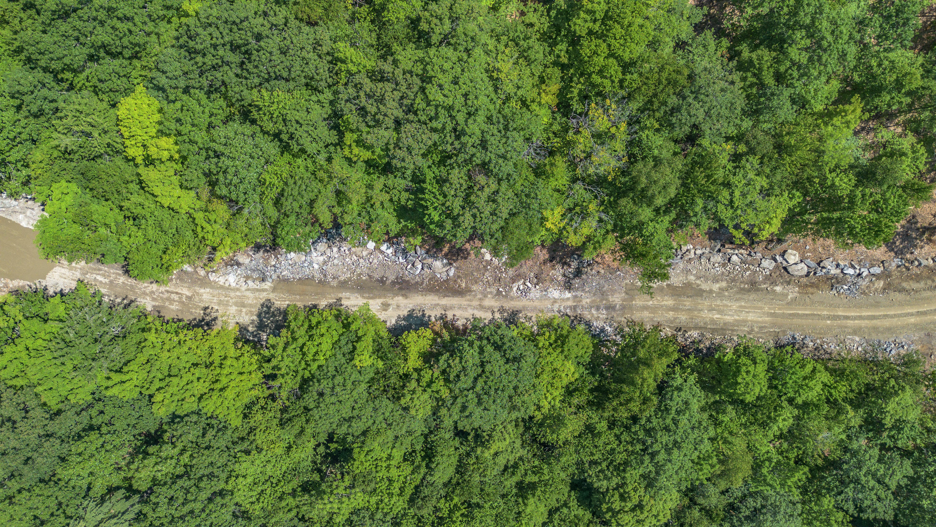 Lot 22 Bear Mountain Road Property Photo 23