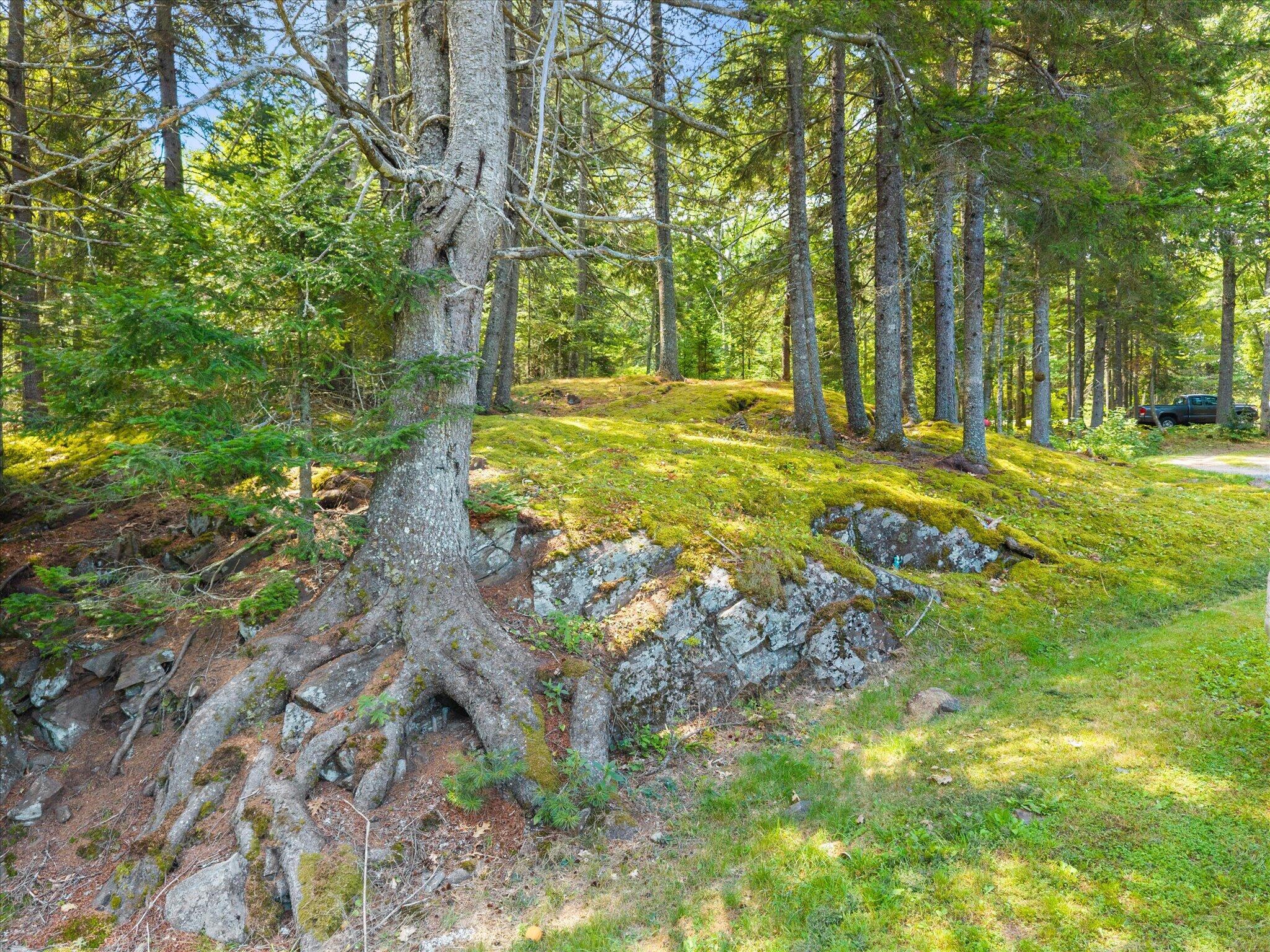 315 Hinckley Ridge Road Property Photo 59
