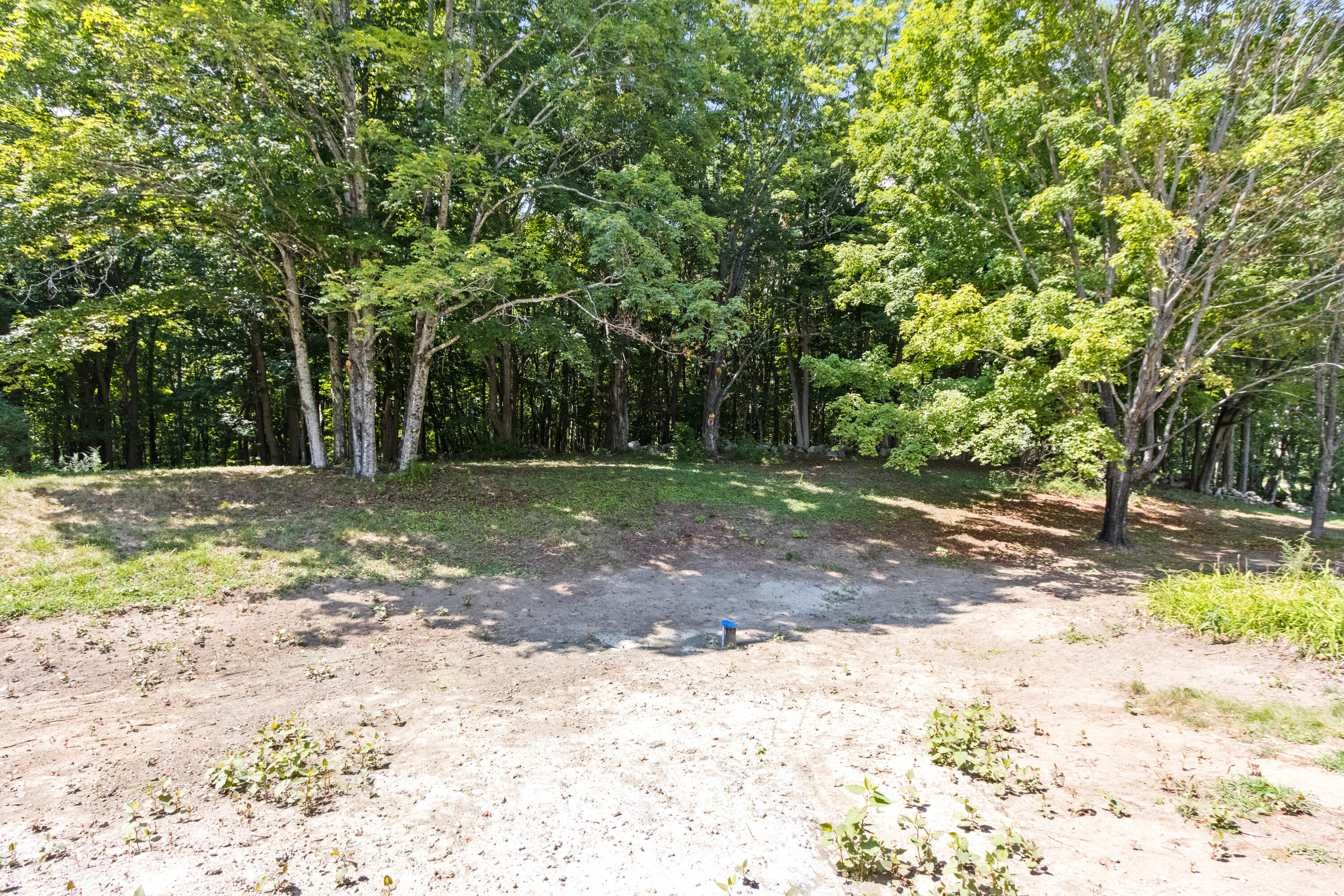 17 Colley Hill Road Property Photo 52