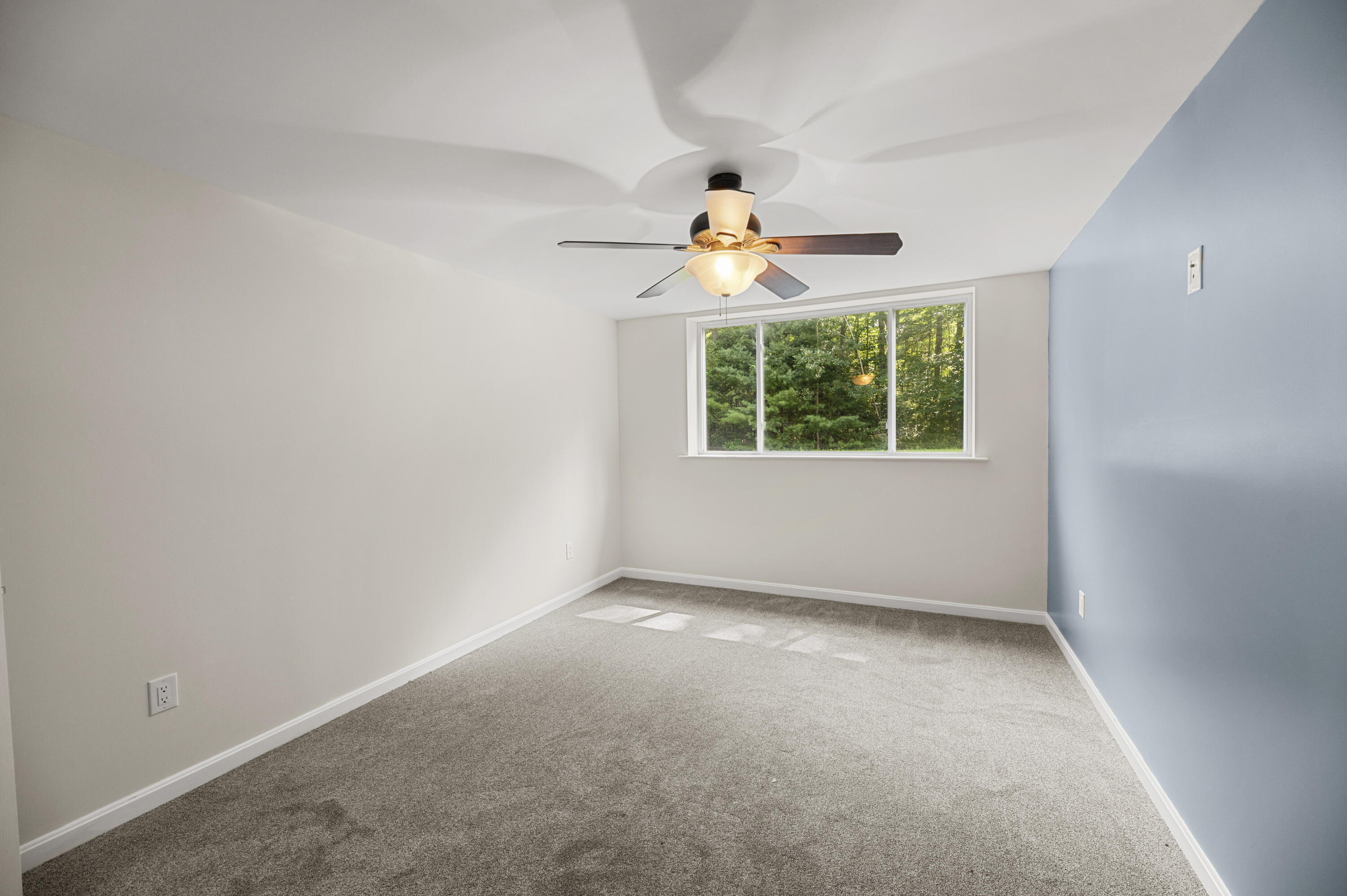 8 Badger Lane Property Photo 78