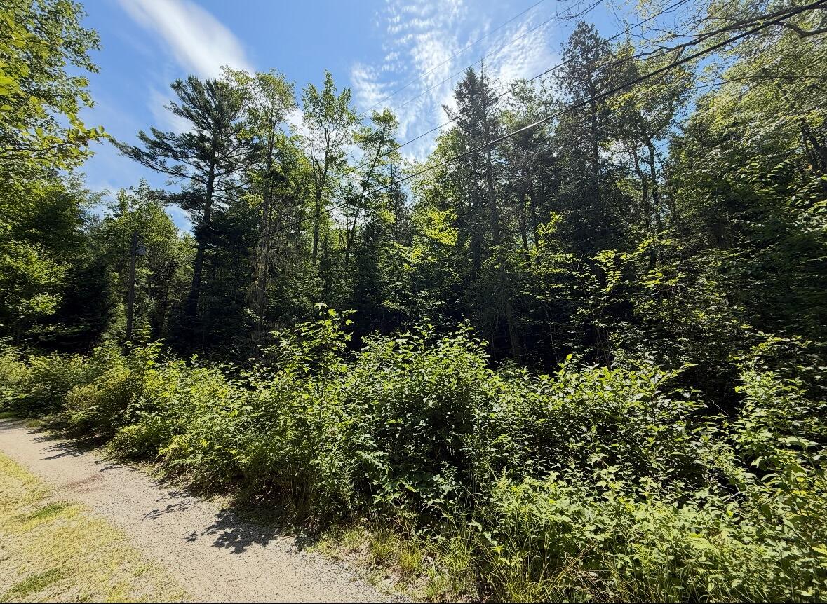 Map2lot 23 Webb Pond Rd Road Property Photo 6