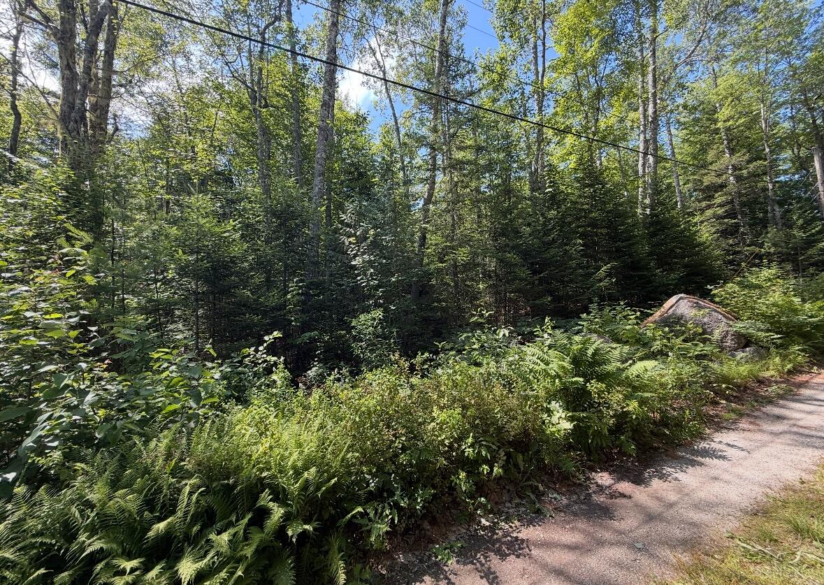 Map2lot 23 Webb Pond Rd Road Property Photo 7