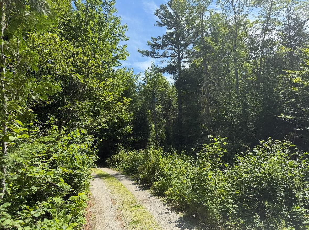 Map2lot 23 Webb Pond Rd Road Property Photo 8