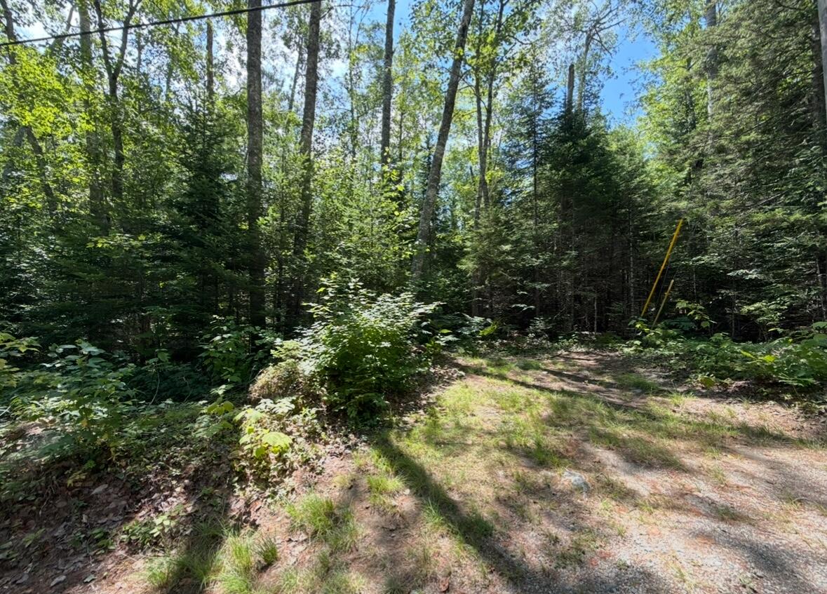Map2lot 23 Webb Pond Rd Road Property Photo 9