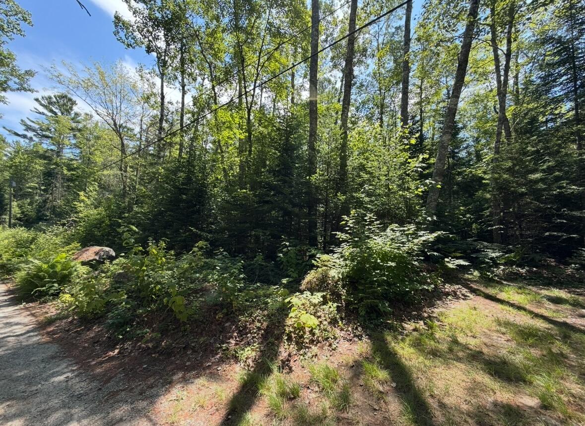 Map2lot 23 Webb Pond Rd Road Property Photo 10