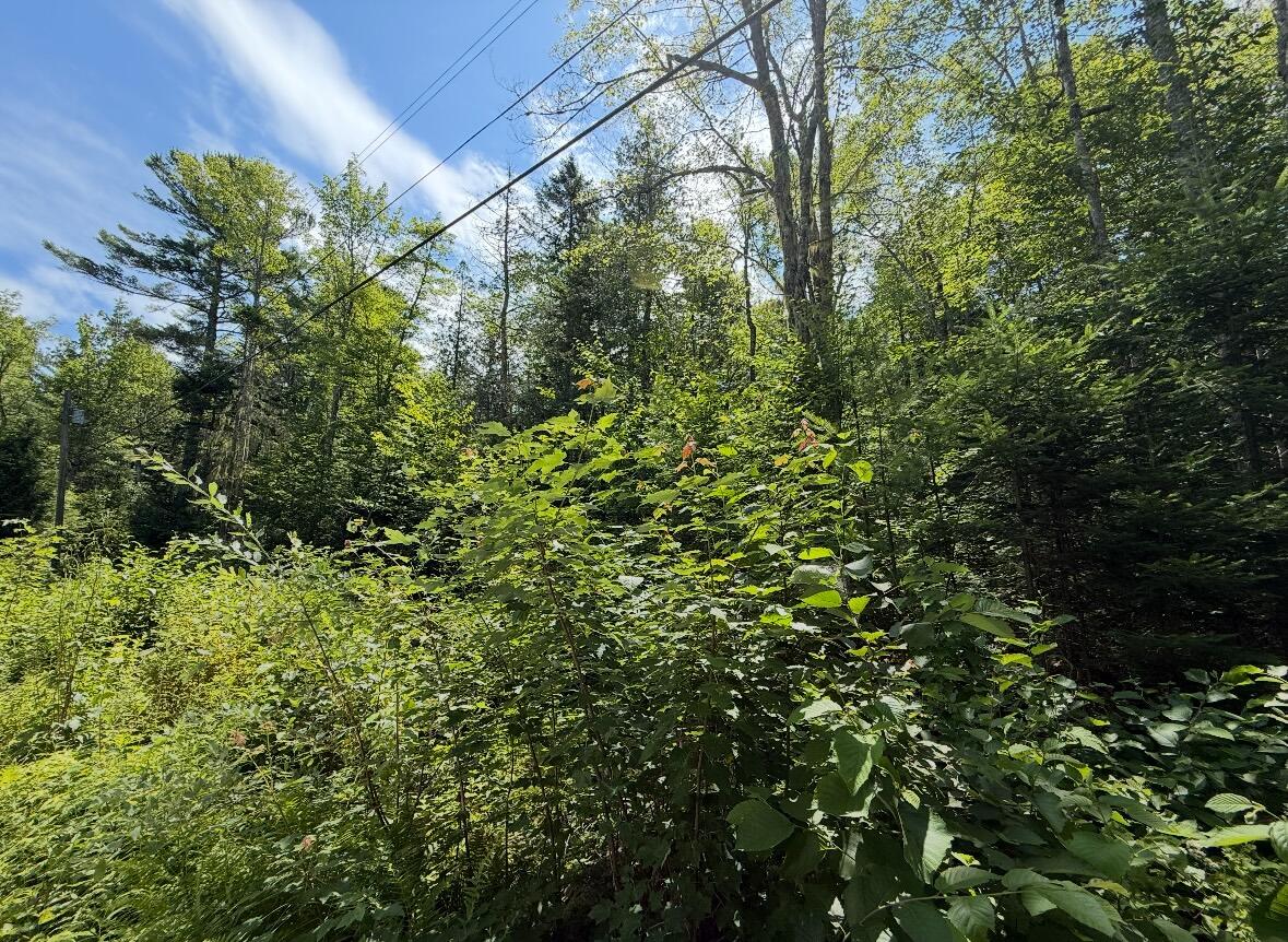 Map2lot 23 Webb Pond Rd Road Property Photo 11