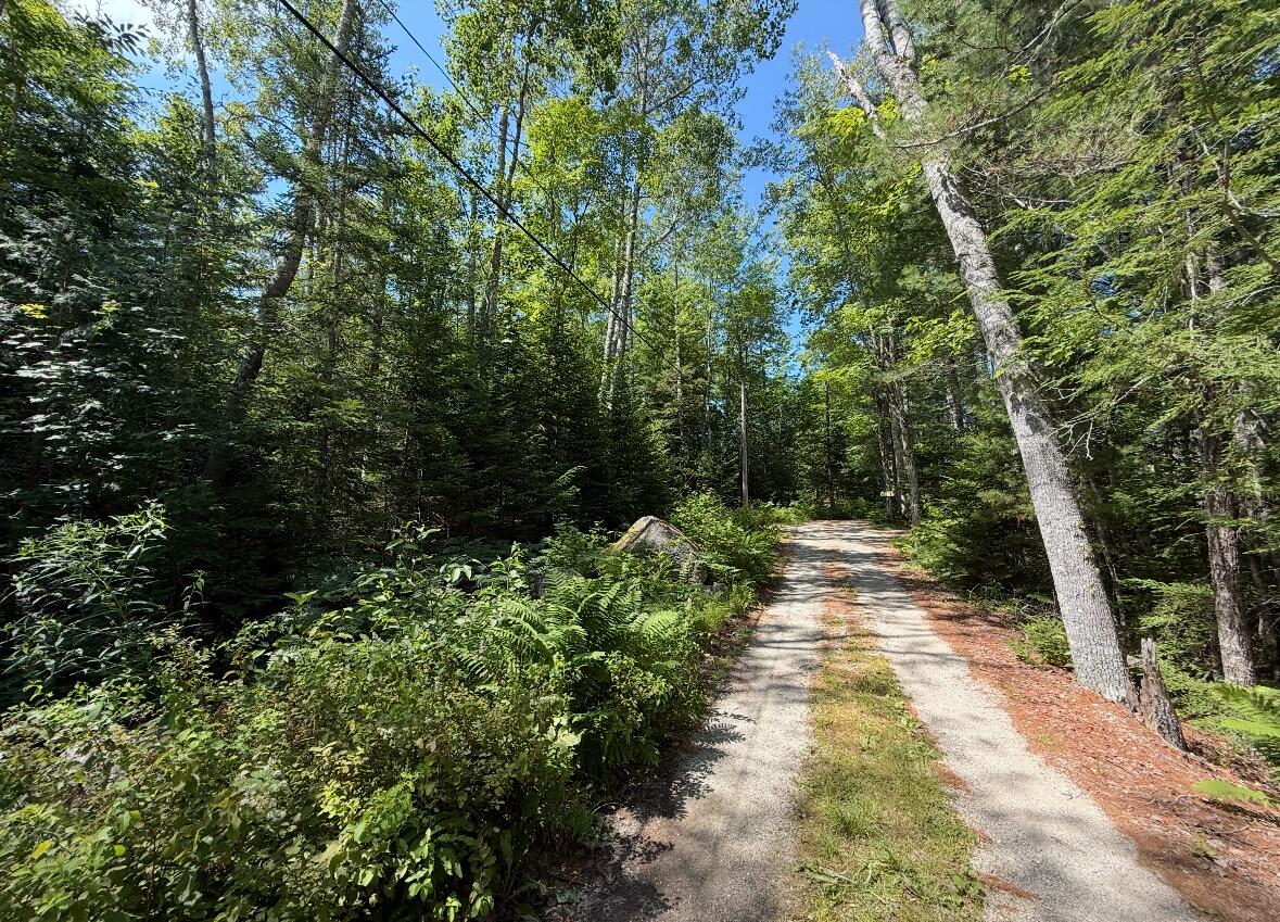 Map2lot 23 Webb Pond Rd Road Property Photo 12