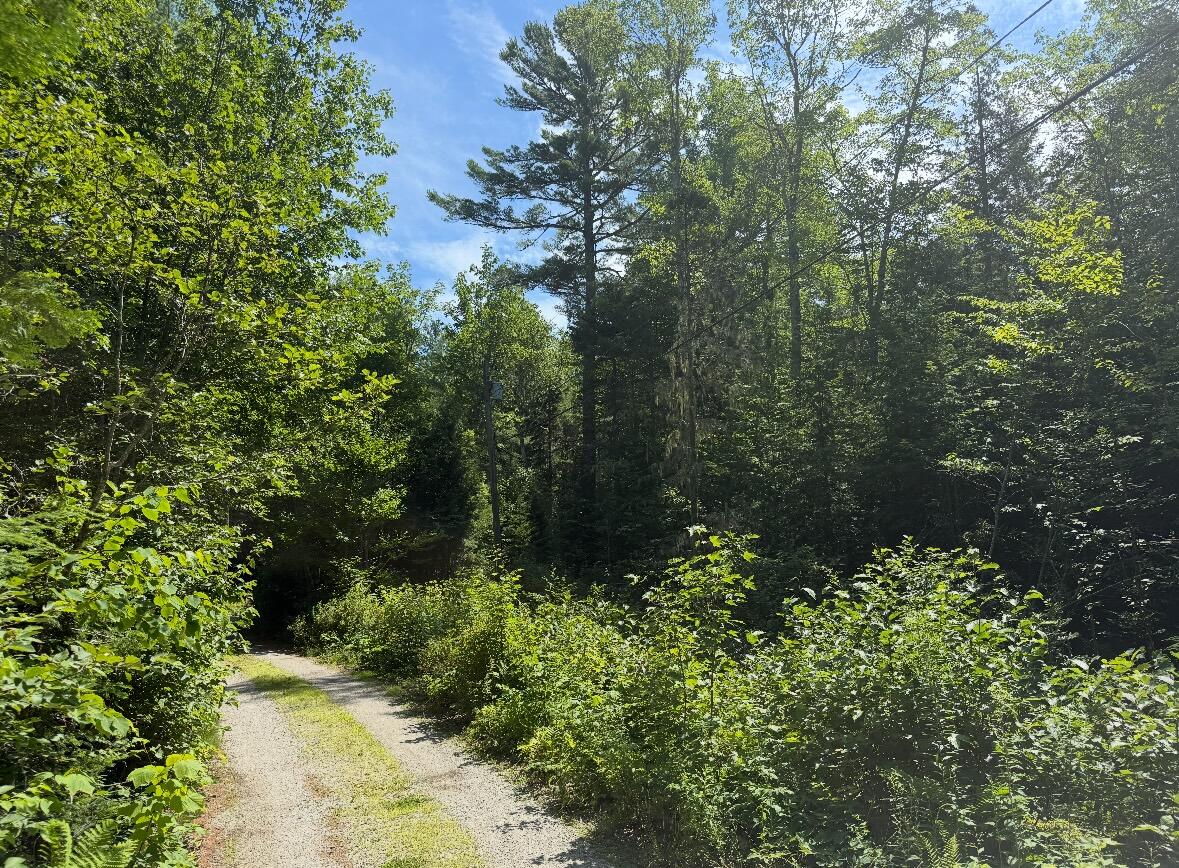 Map2lot 23 Webb Pond Rd Road Property Photo 13