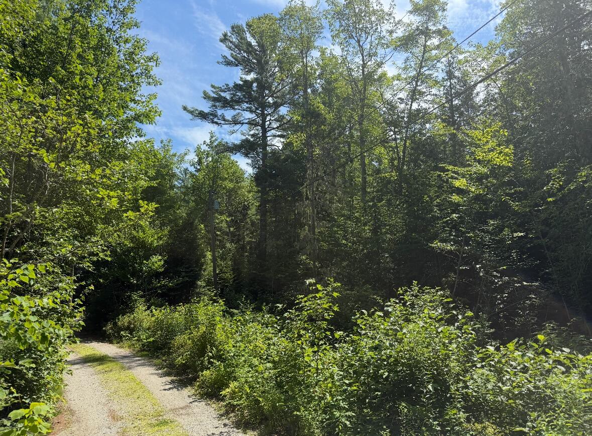 Map2lot 23 Webb Pond Rd Road Property Photo 14