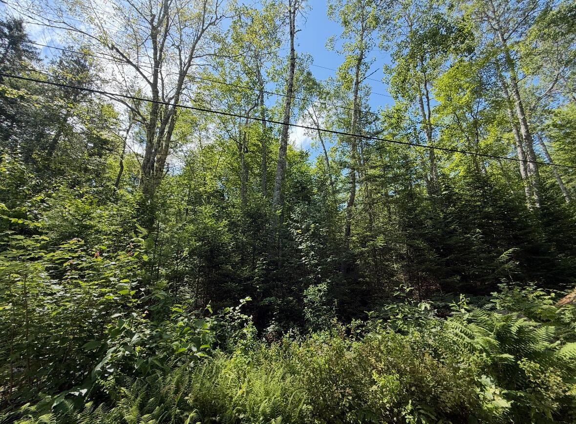 Map2lot 23 Webb Pond Rd Road Property Photo 15