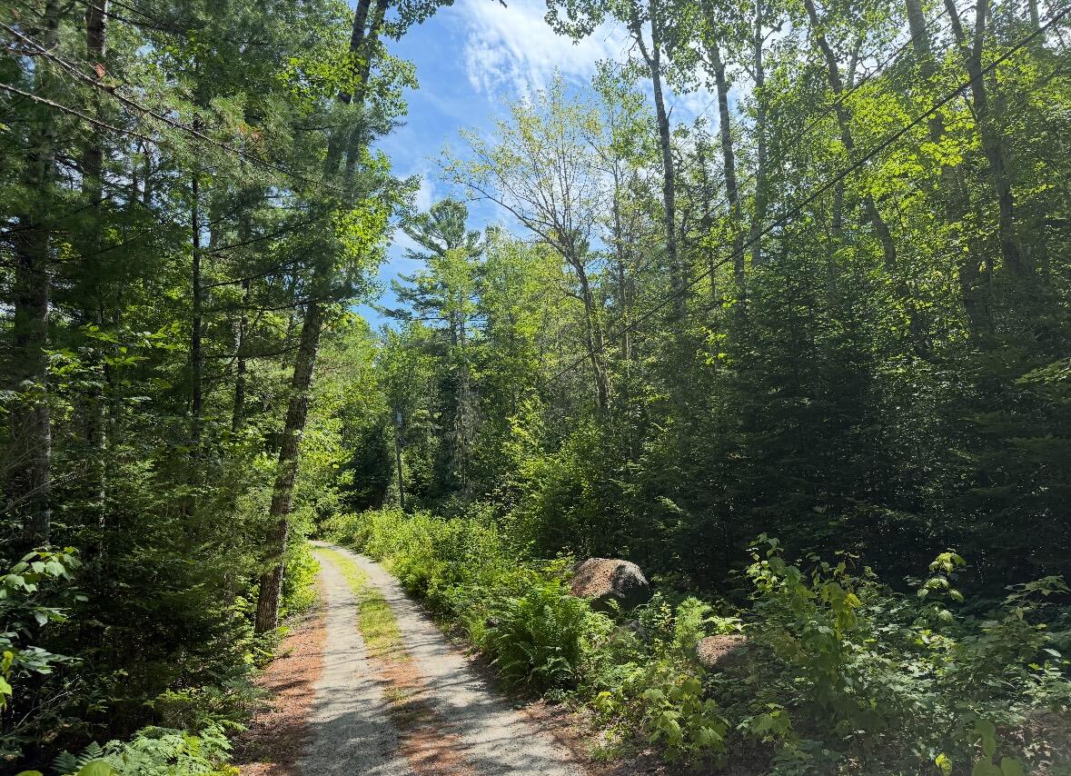 Map2lot 23 Webb Pond Rd Road Property Photo 16