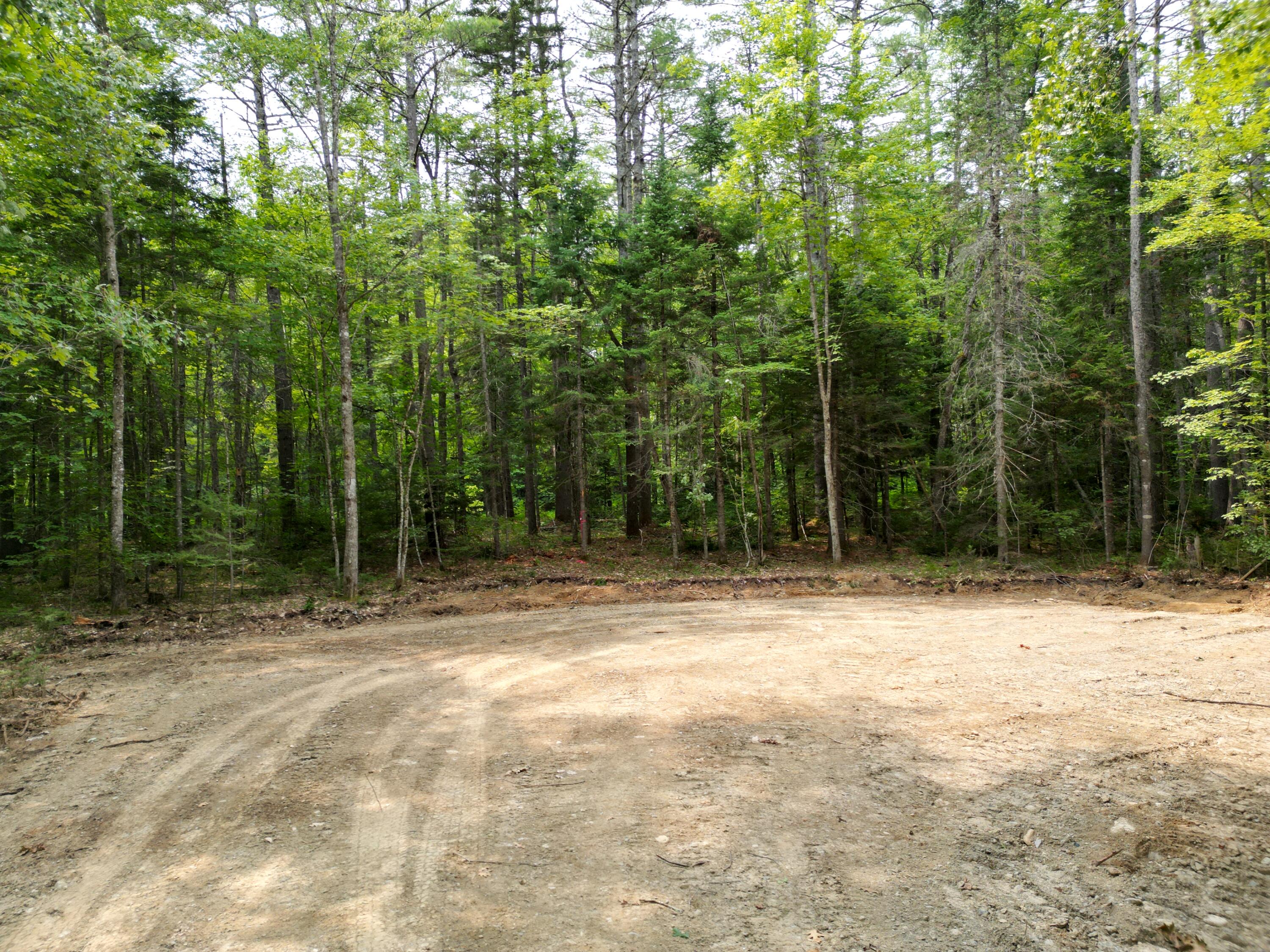 Lot 65-1 Church Street Property Photo 2