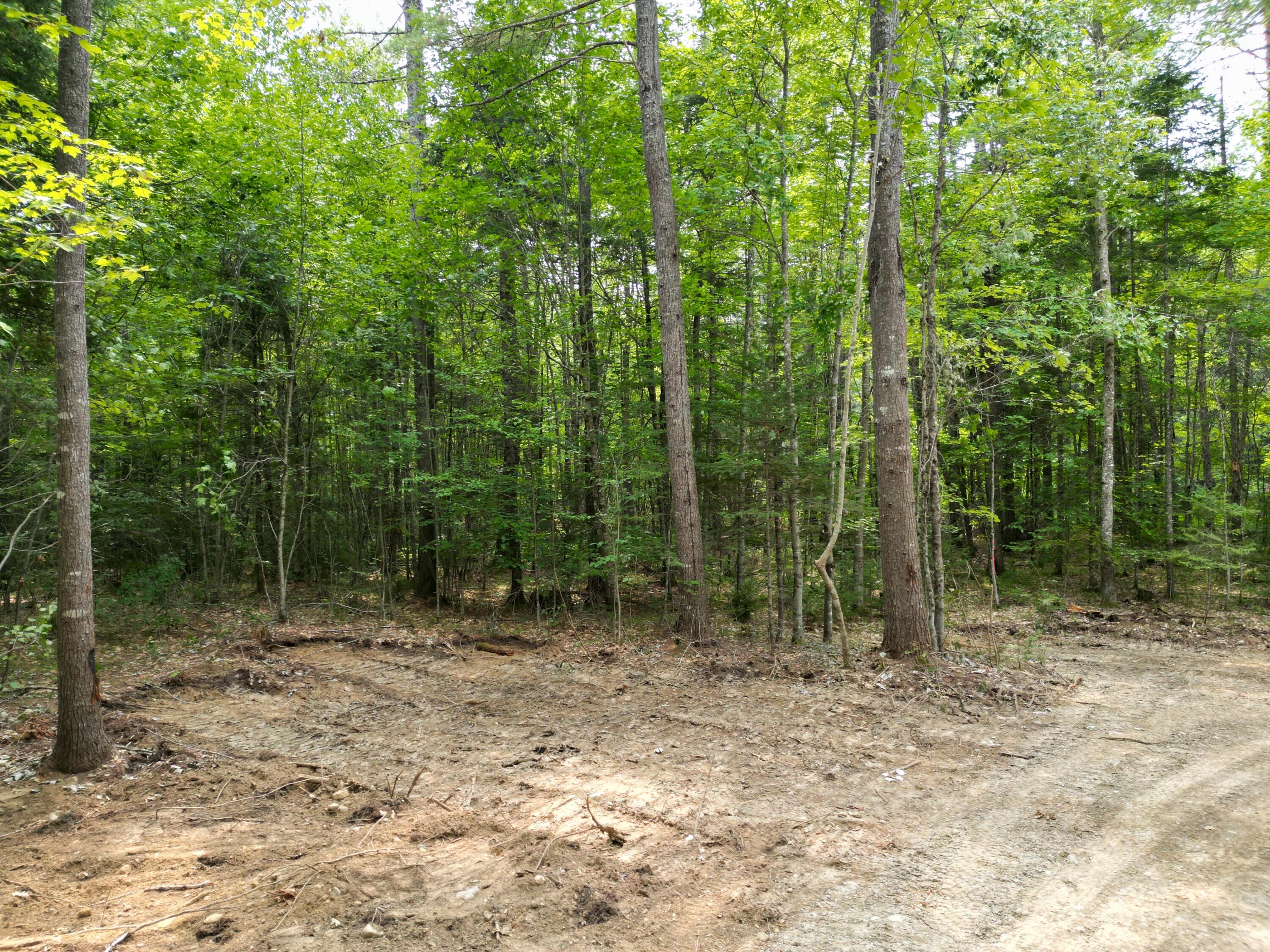 Lot 65-1 Church Street Property Photo 5