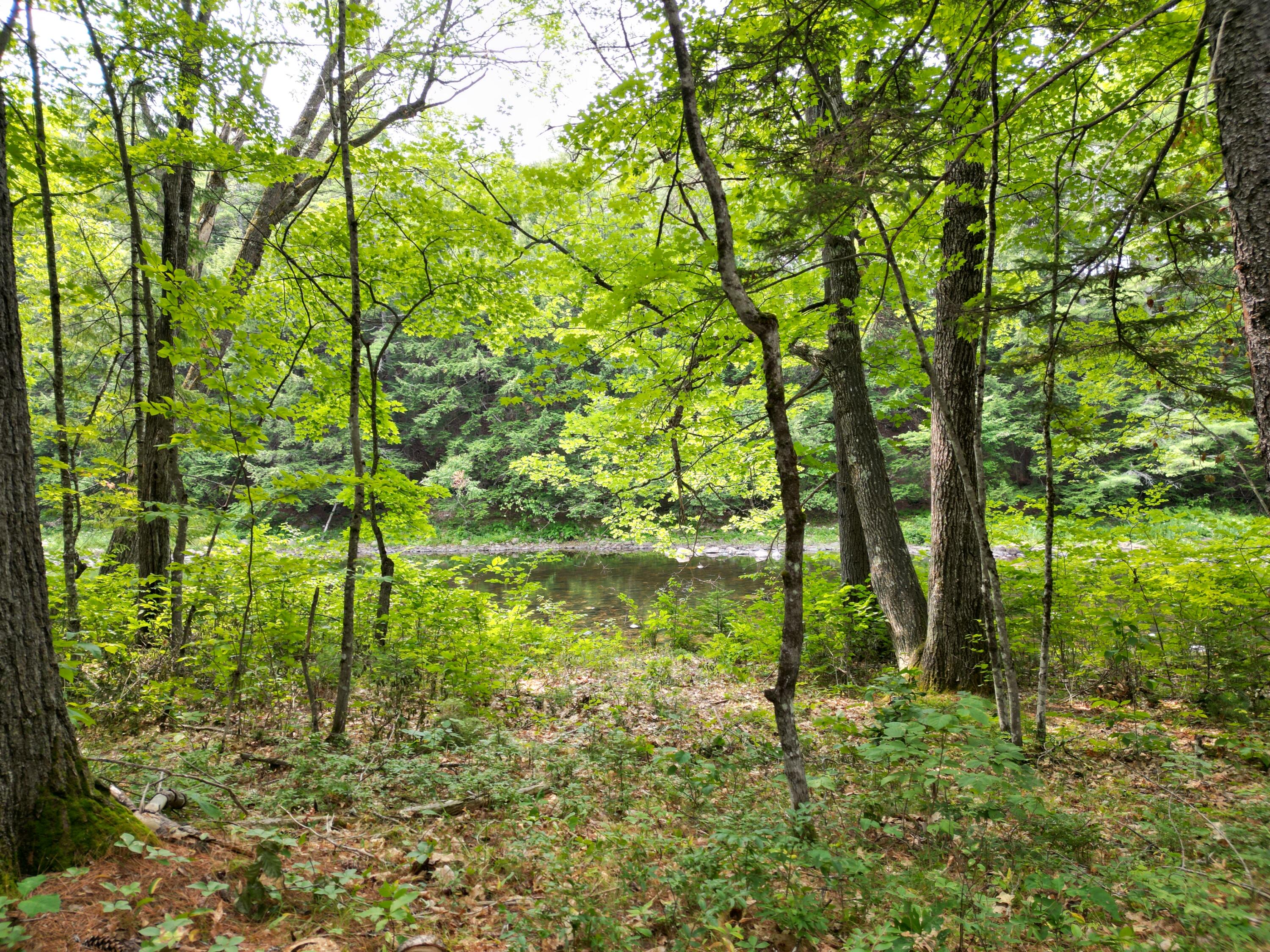 Lot 65-1 Church Street Property Photo 12