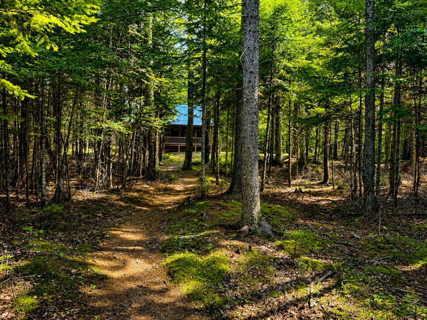 57.3 Triple Cove Island Property Photo 19