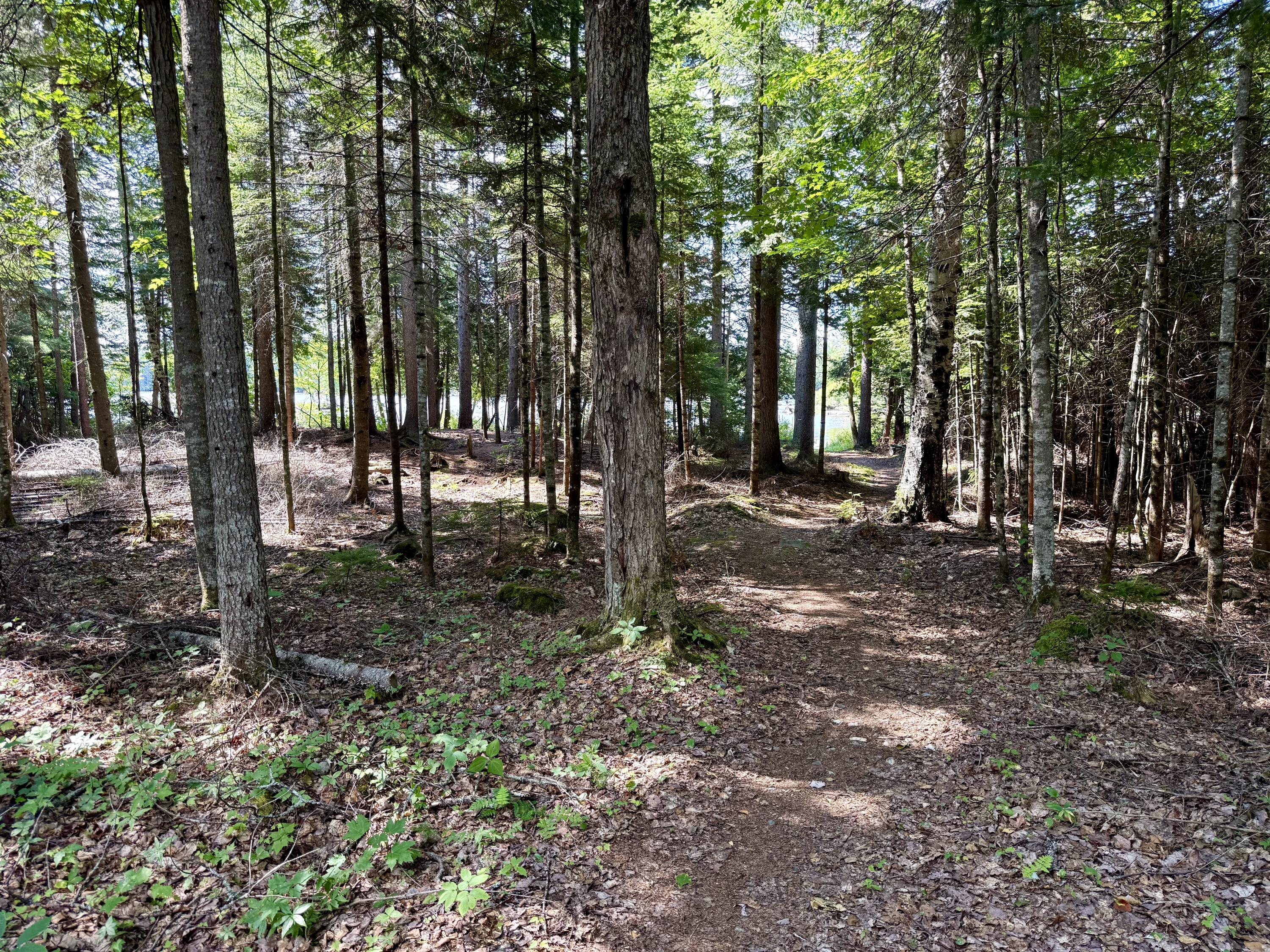 57.3 Triple Cove Island Property Photo 23