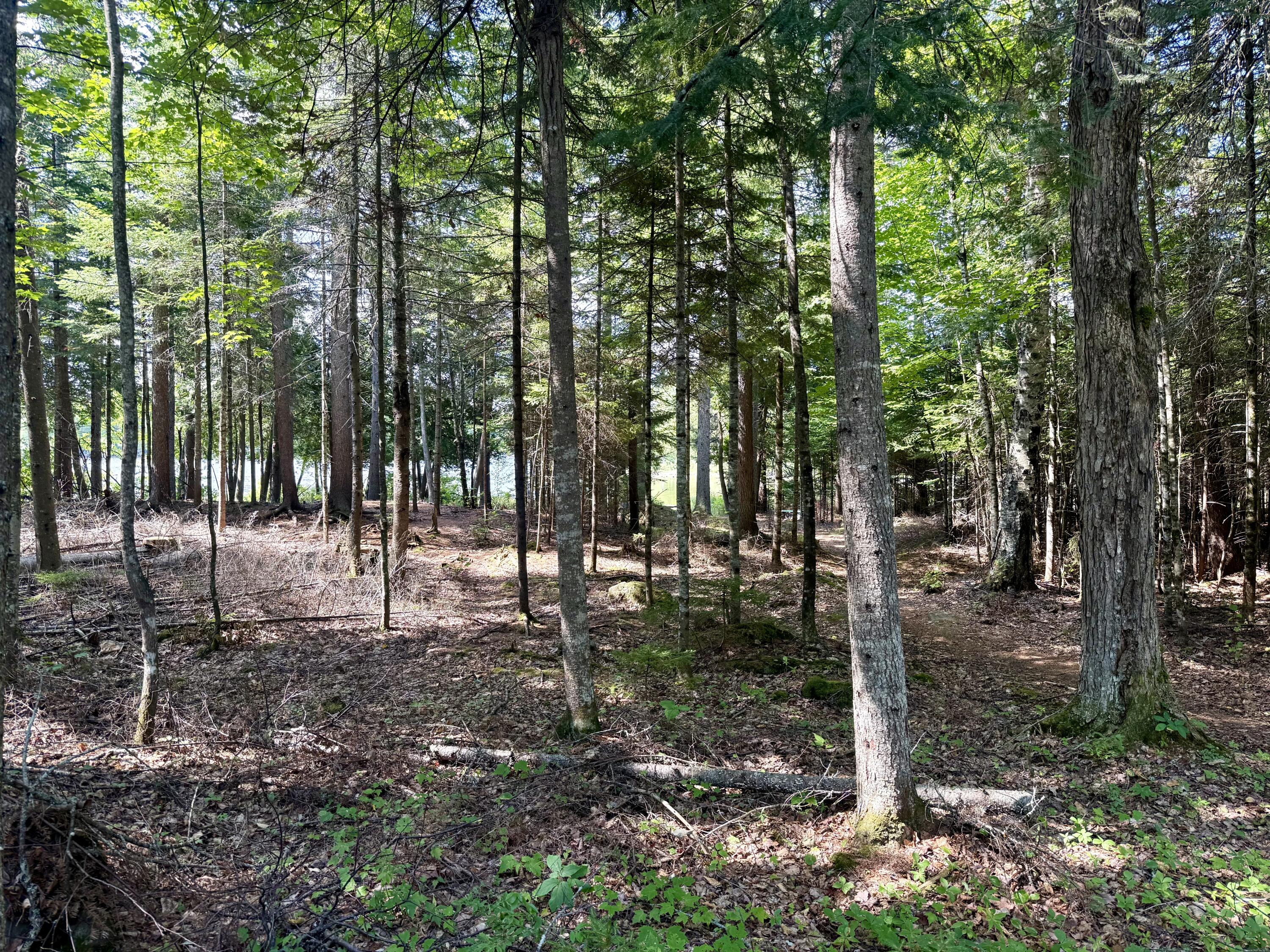 57.3 Triple Cove Island Property Photo 29
