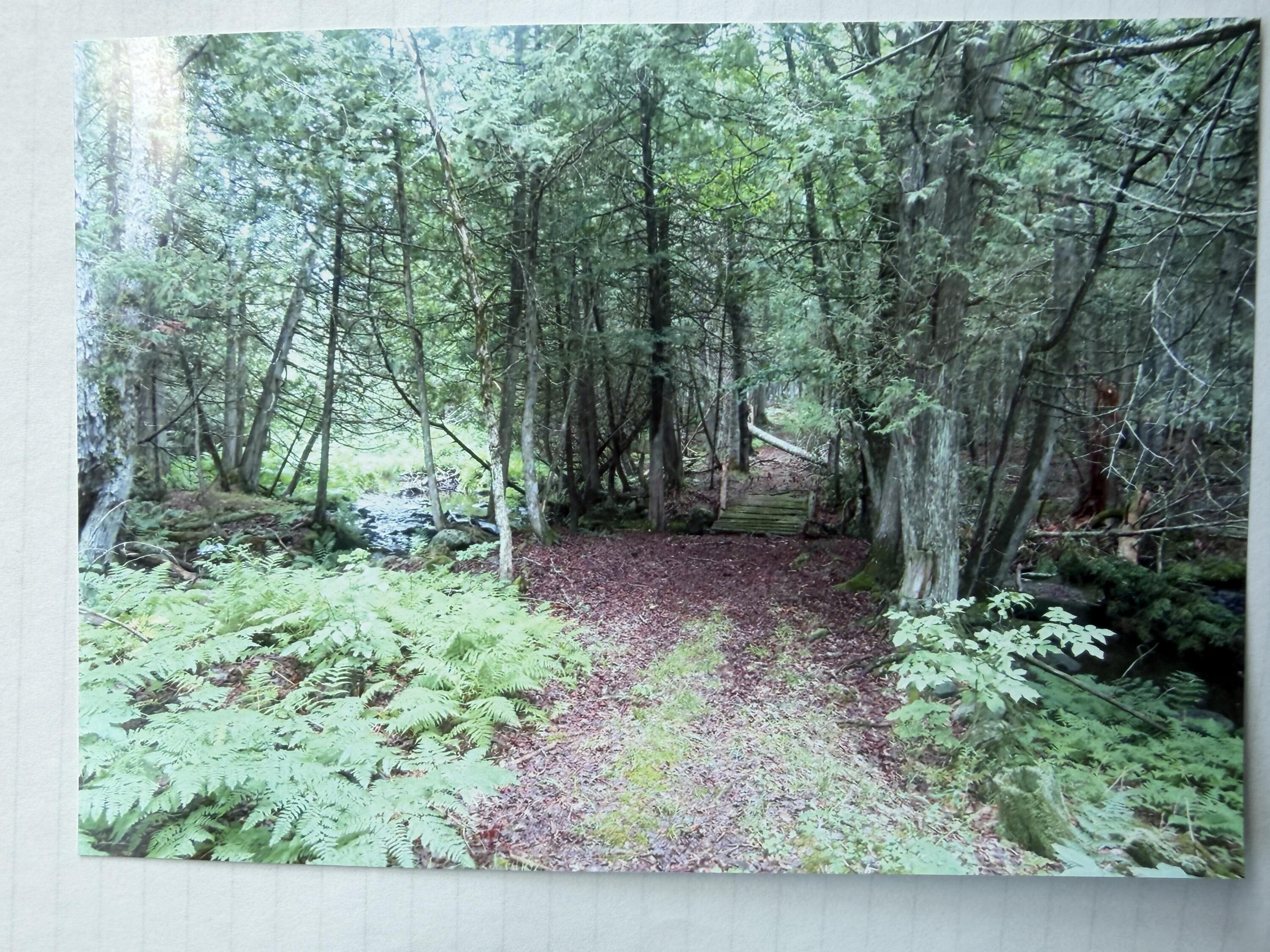 510 Milo Road Property Photo 3