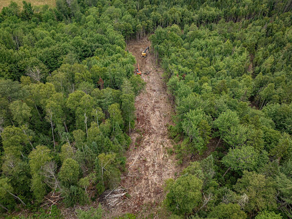 Lot #3 Northwoods Drive Property Photo 10