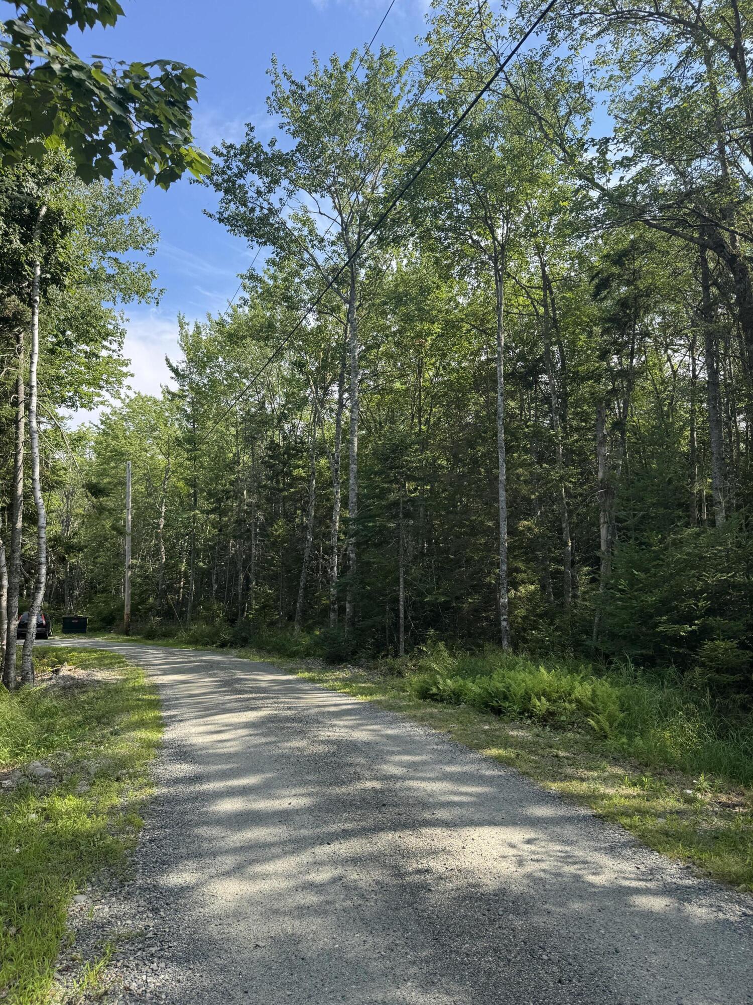 Lot 17 Kelley Lane Property Photo 2