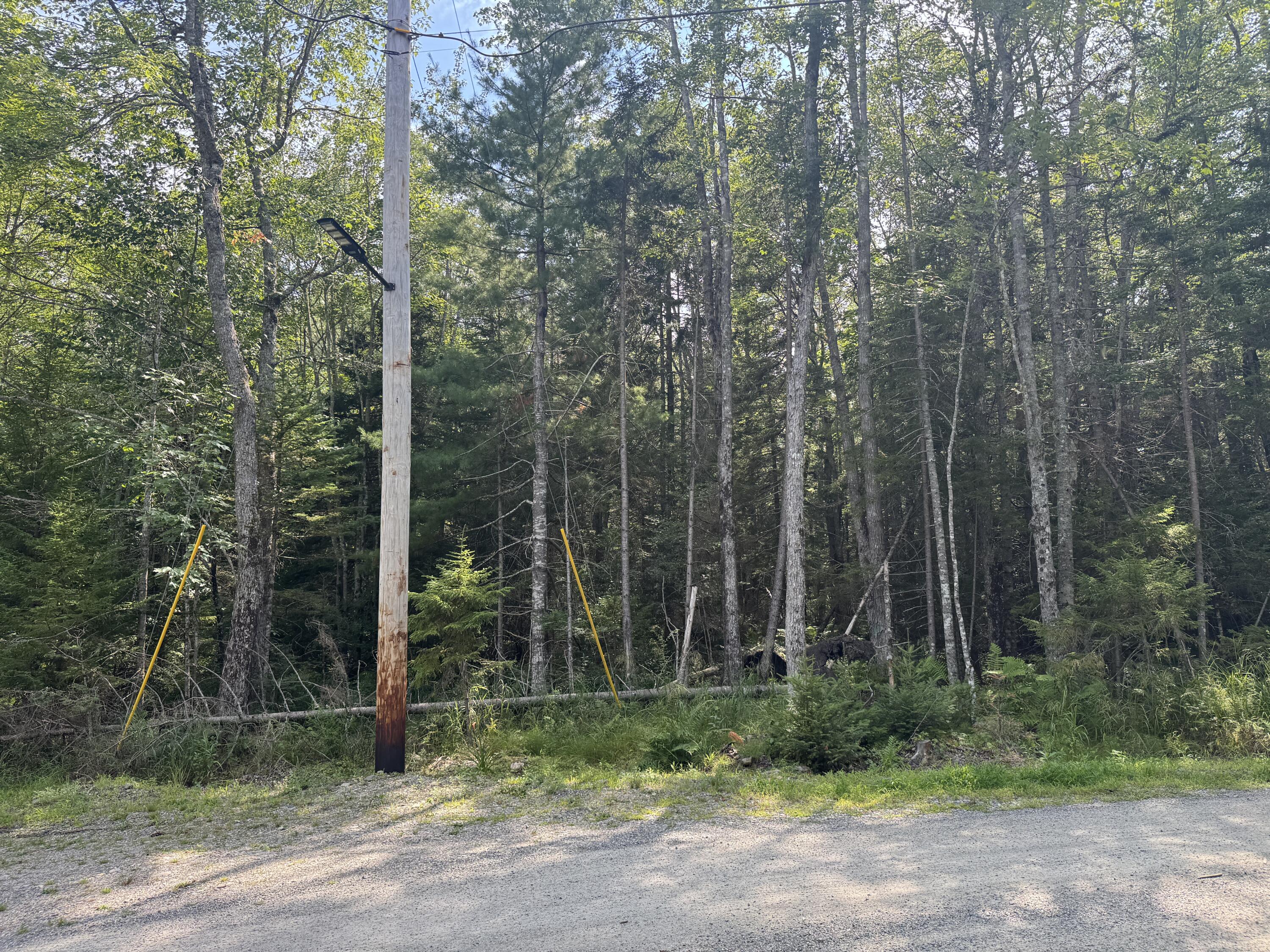 Lot 17 Kelley Lane Property Photo 4