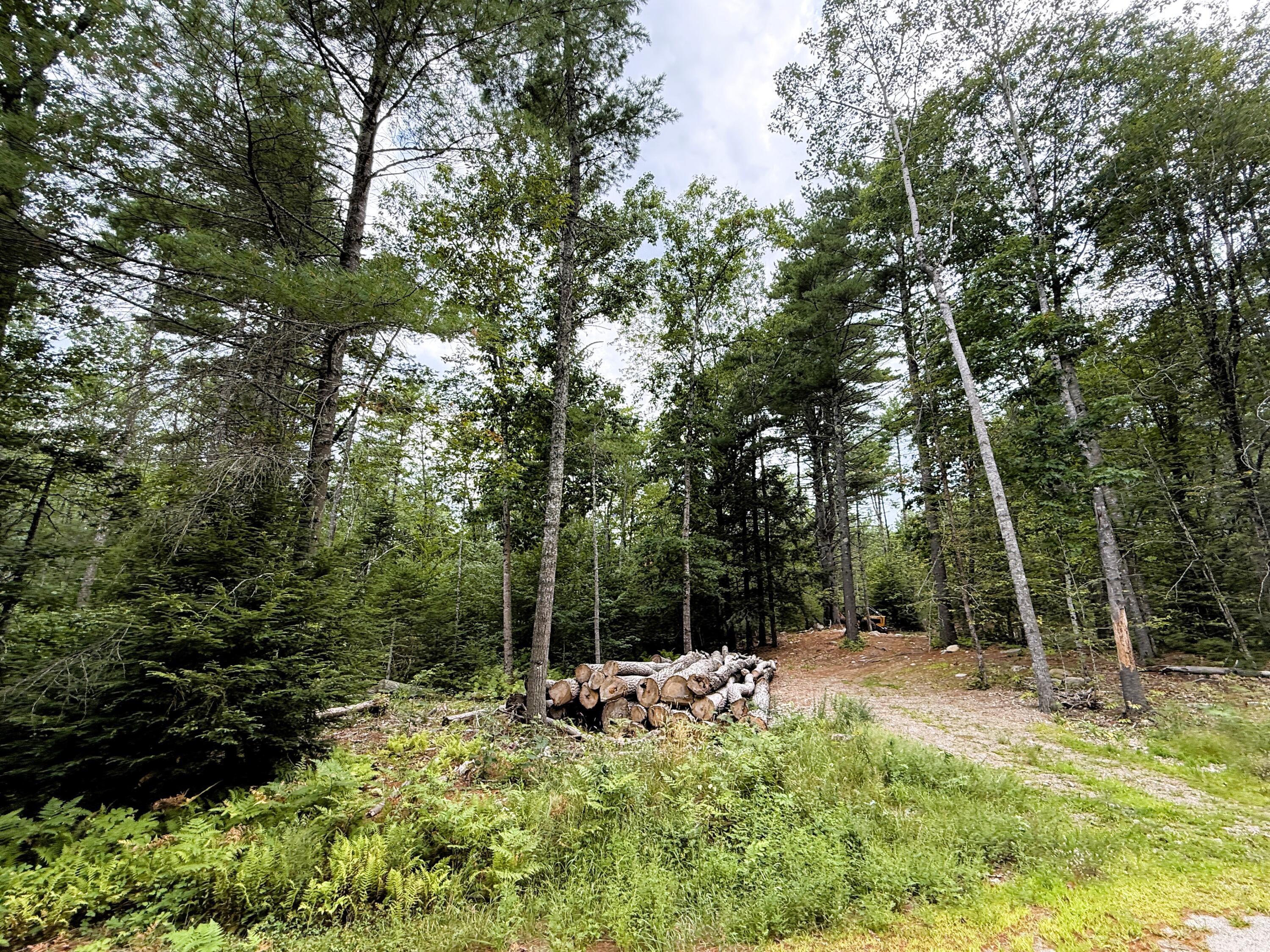 Lot 6 54 A Razorville Road Property Photo 1