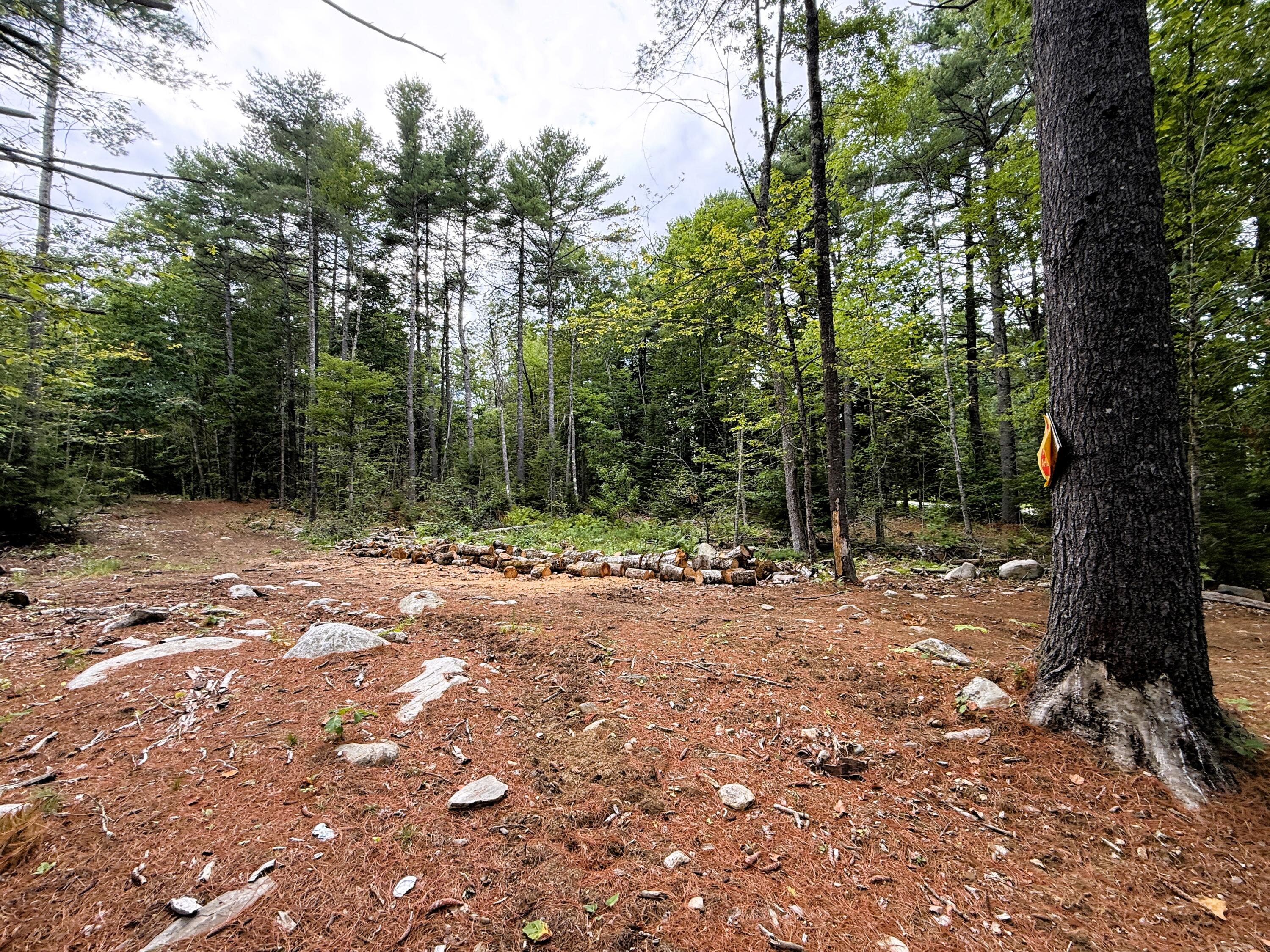 Lot 6 54 A Razorville Road Property Photo 3