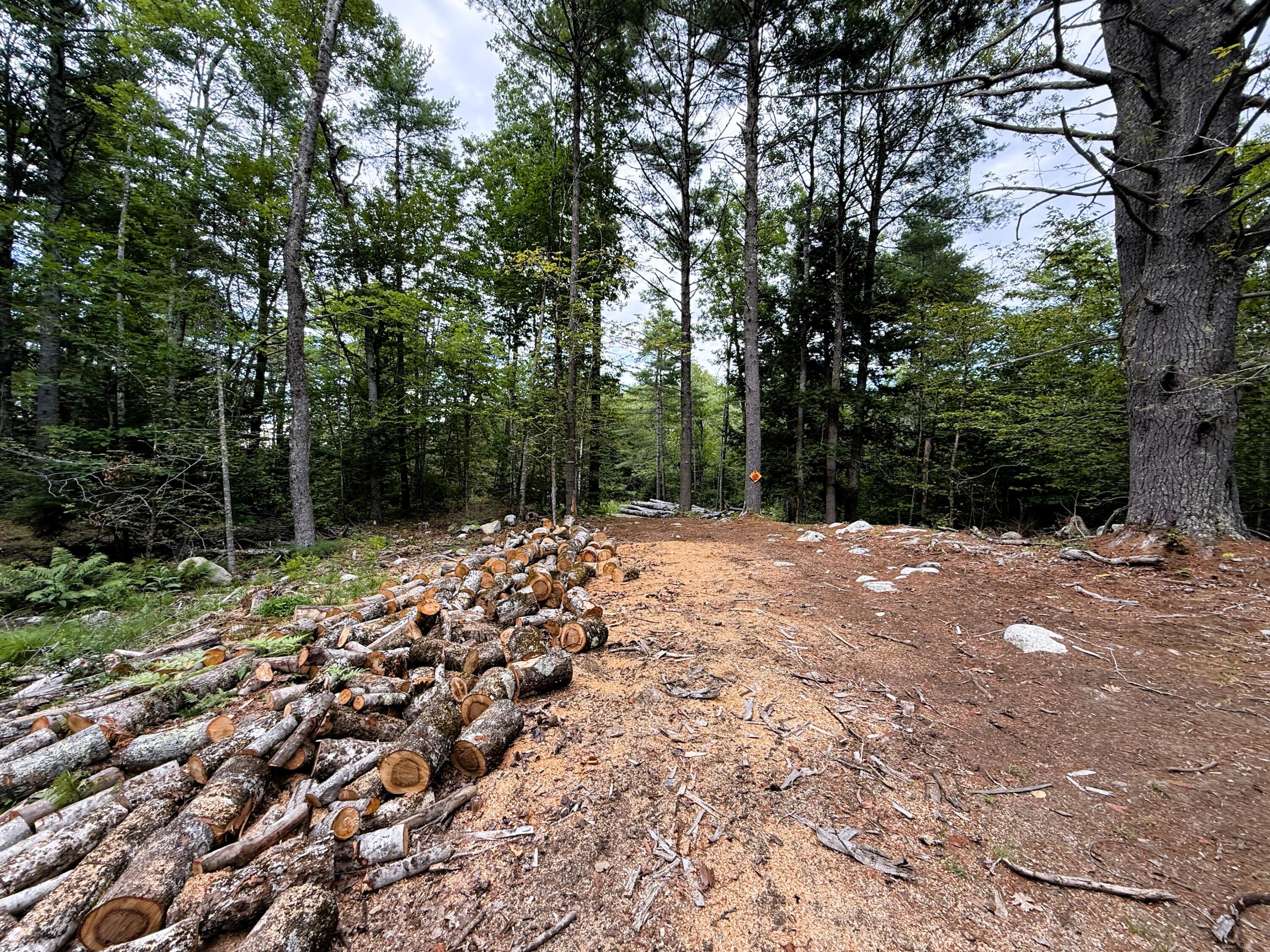 Lot 6 54 A Razorville Road Property Photo 4