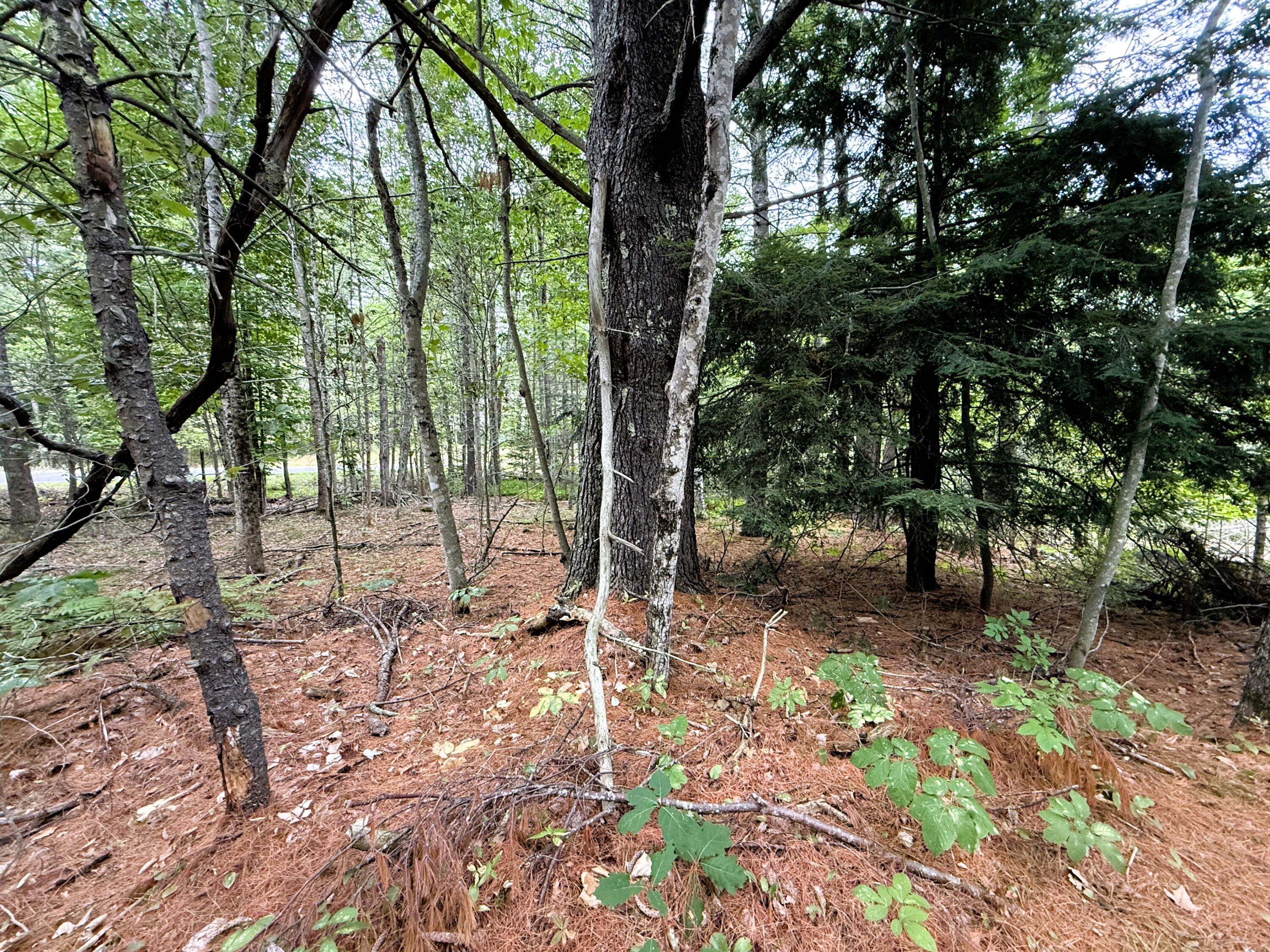 Lot 6 54 A Razorville Road Property Photo 5