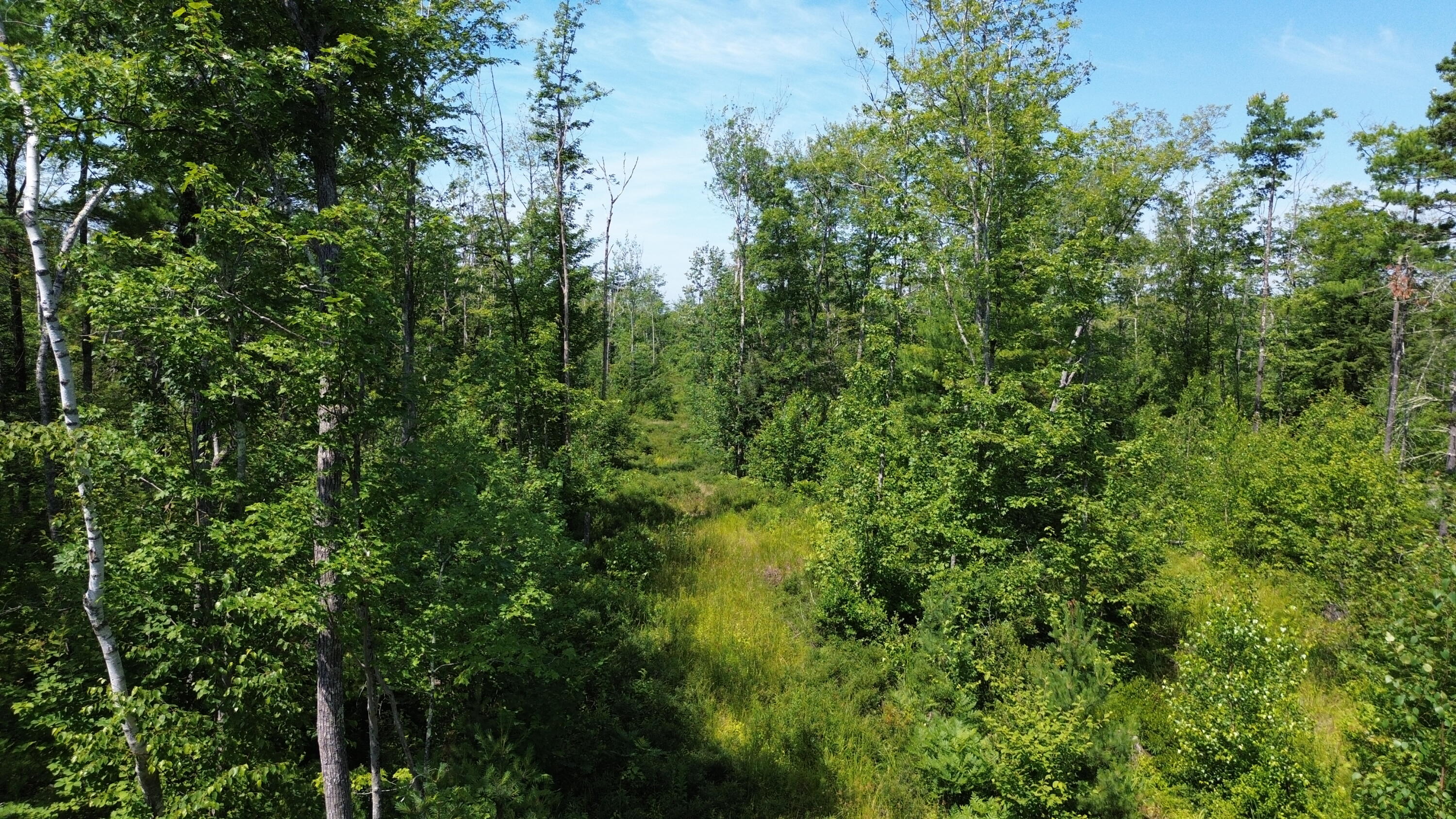 Mr1l6 Kings Highway Property Photo 15