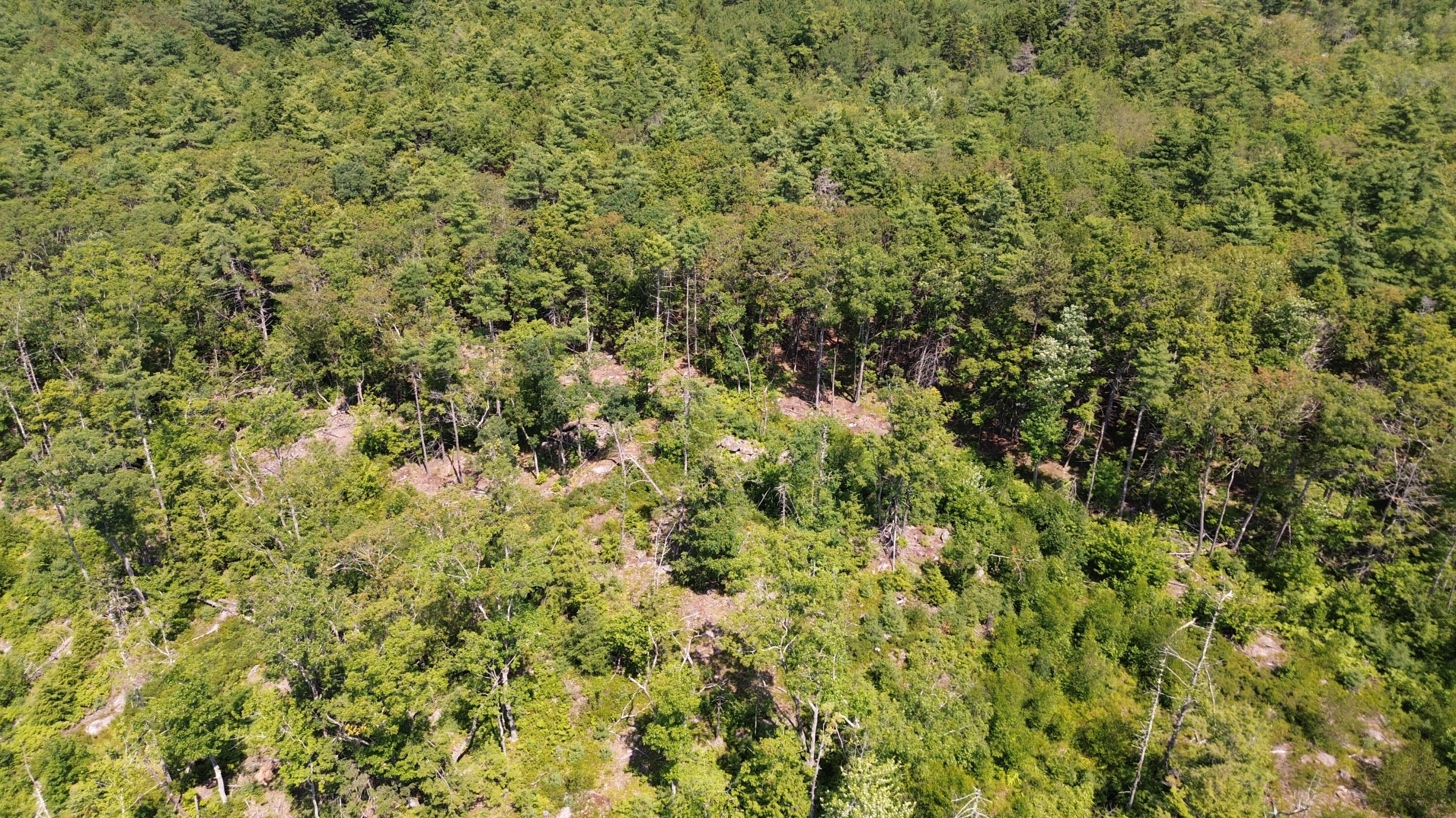 Mr1l6 Kings Highway Property Photo 26