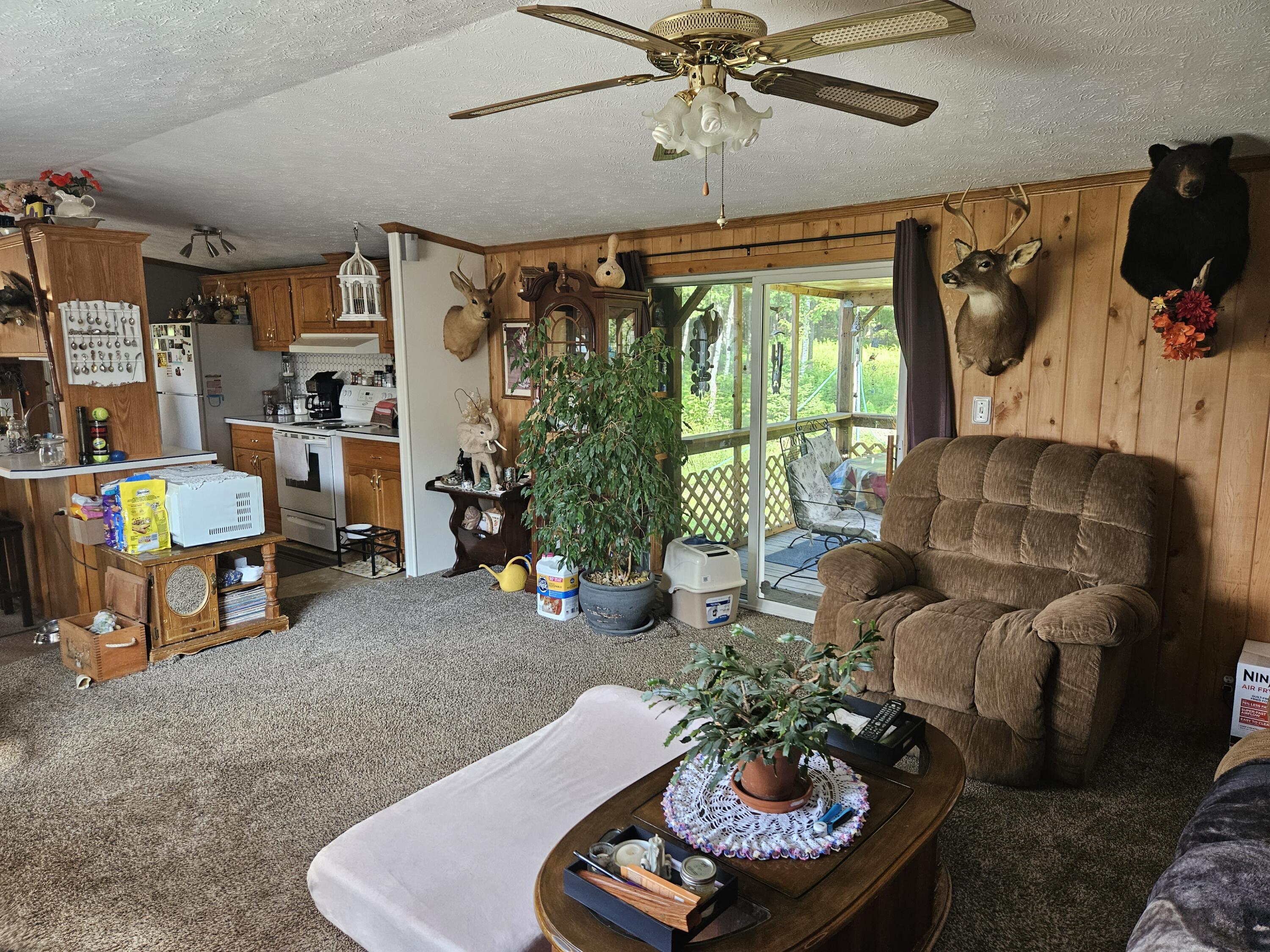 39 Mountain View Lane Property Photo 14