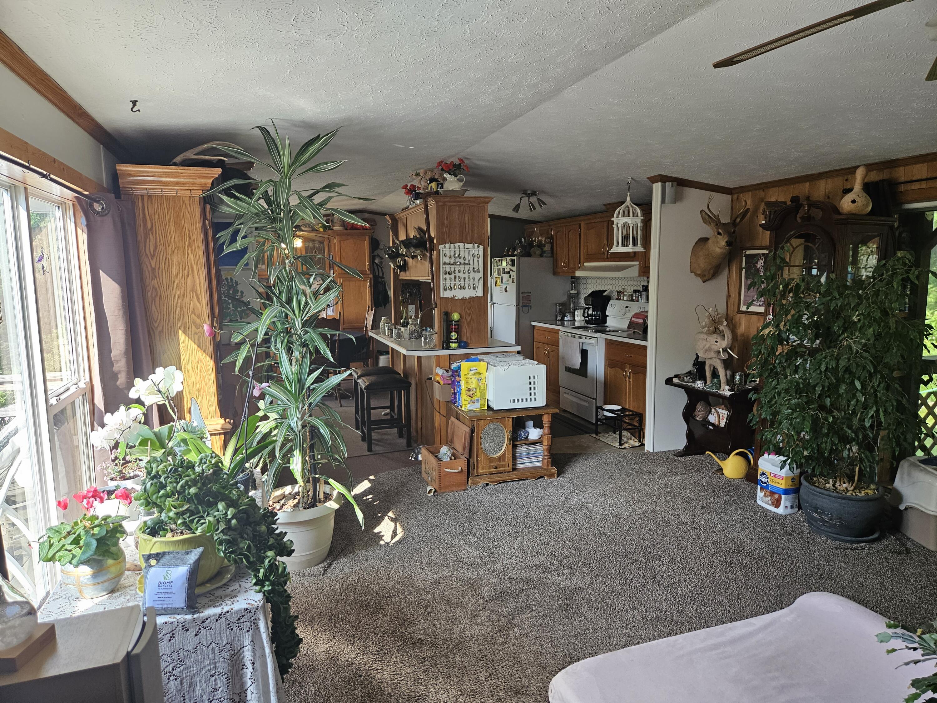 39 Mountain View Lane Property Photo 15