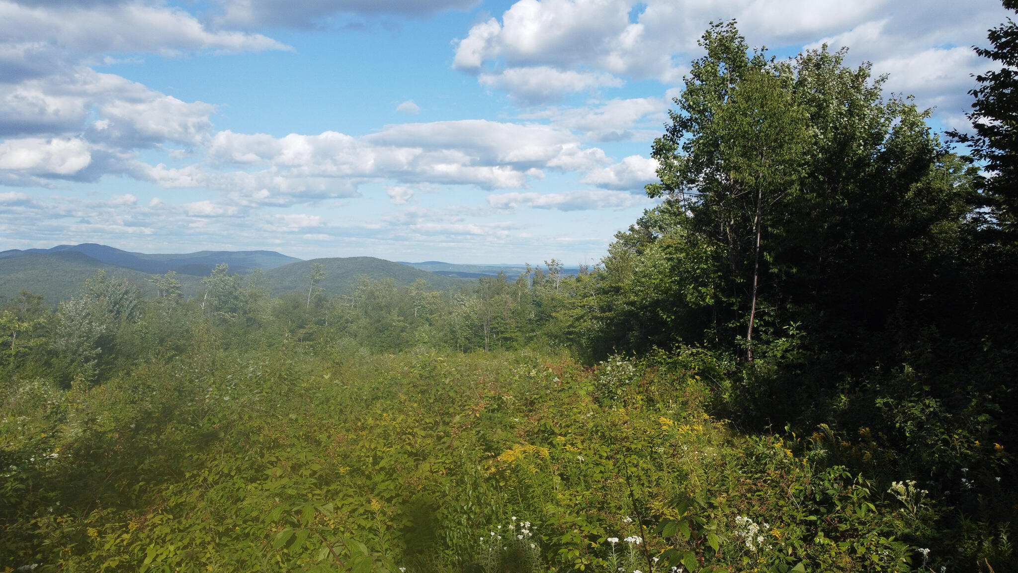 12e Mountain View Drive Property Photo 4