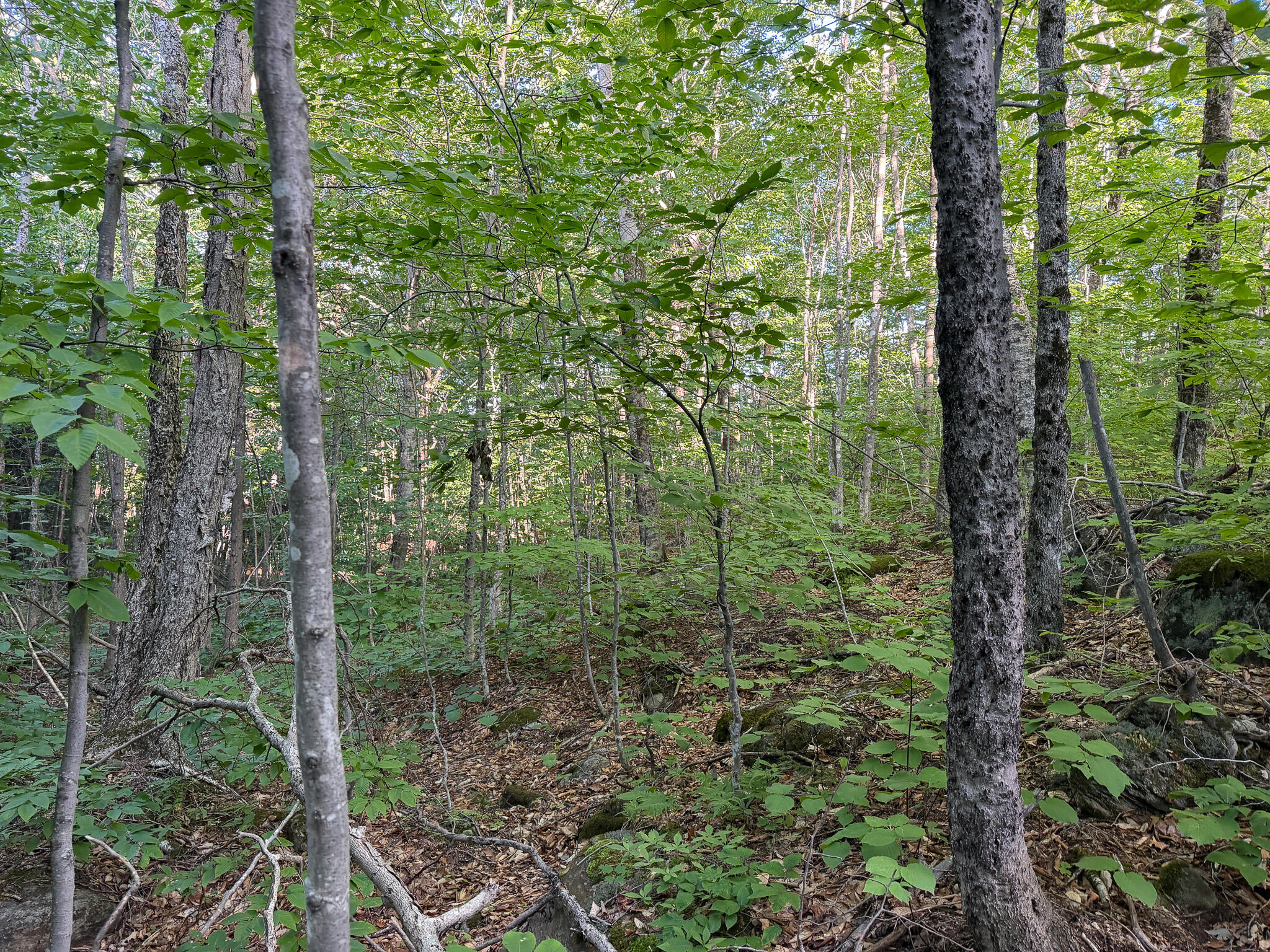 12e Mountain View Drive Property Photo 20