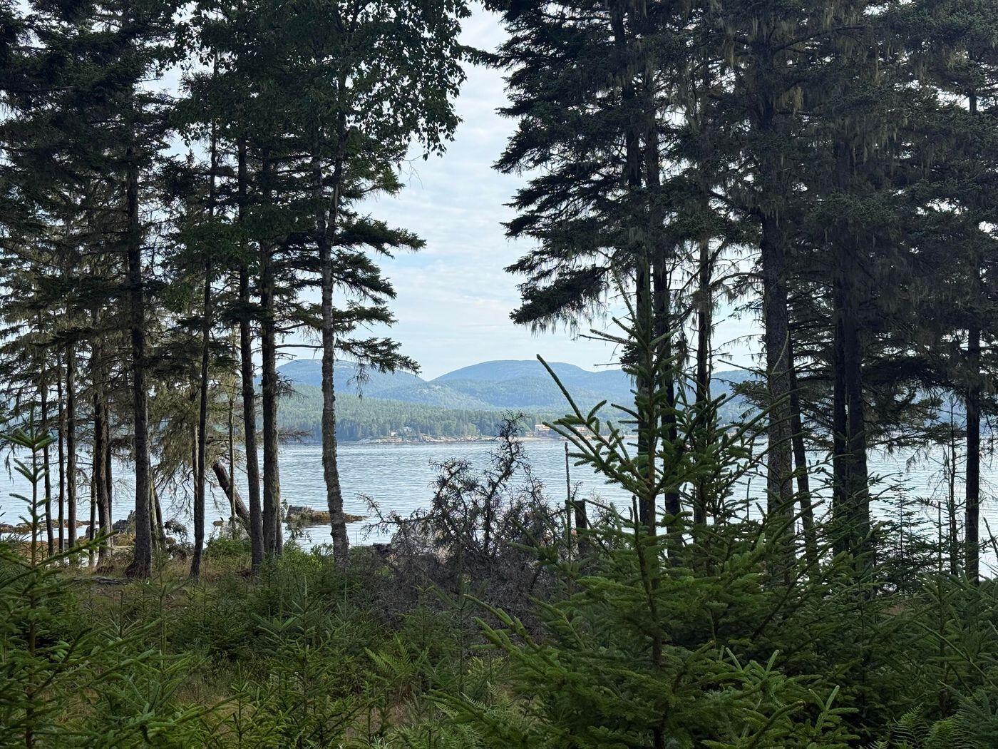 Lot 10-1 N Sutton Island Property Photo 1