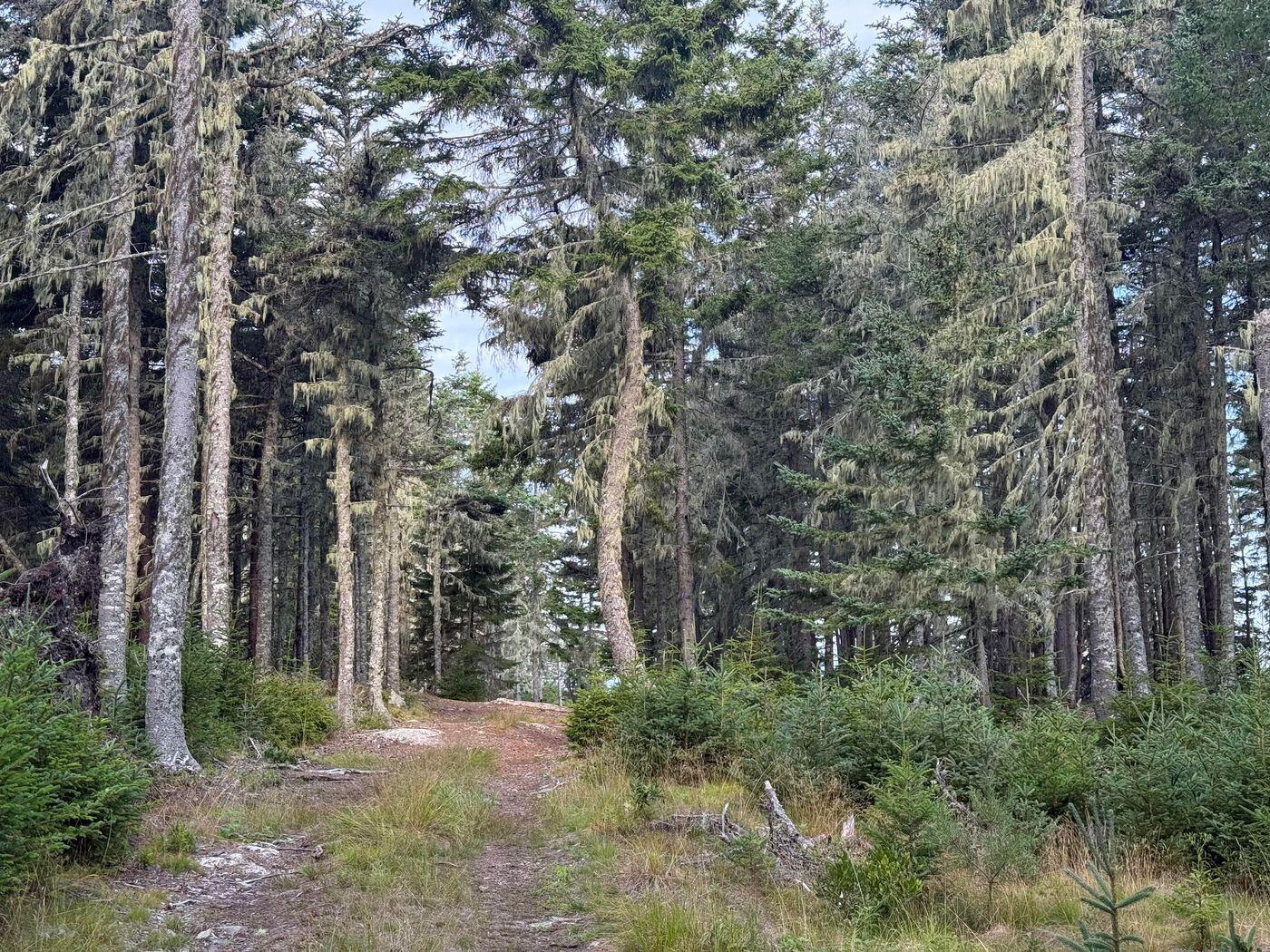 Lot 10-1 N Sutton Island Property Photo 2