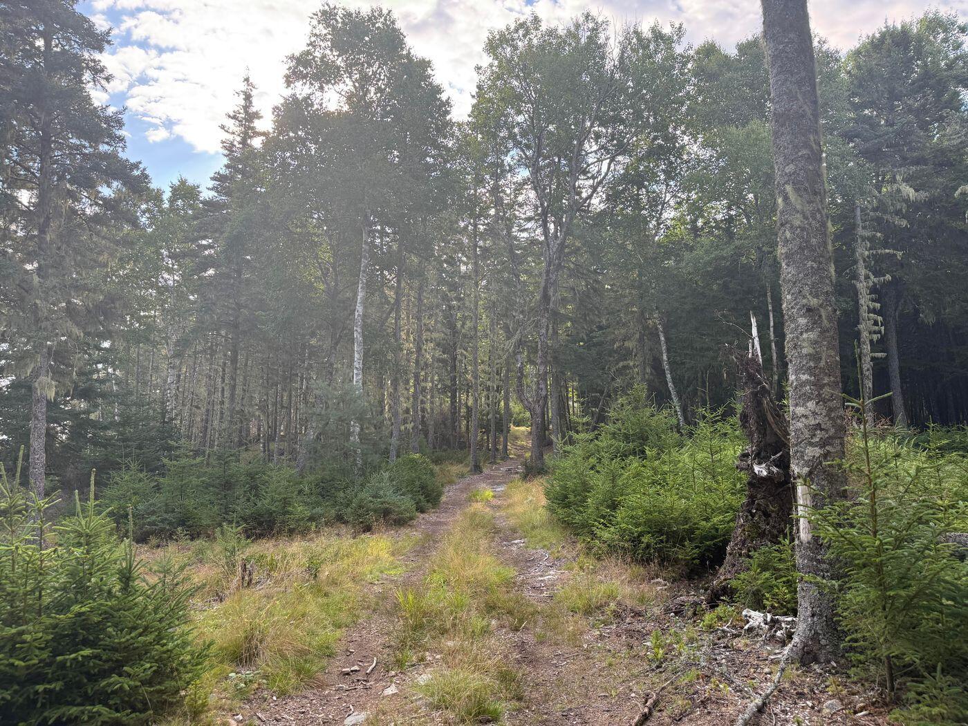 Lot 10-1 N Sutton Island Property Photo 3
