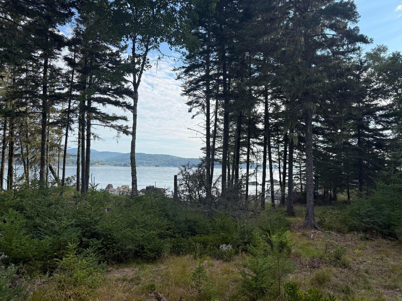 Lot 10-1 N Sutton Island Property Photo 4