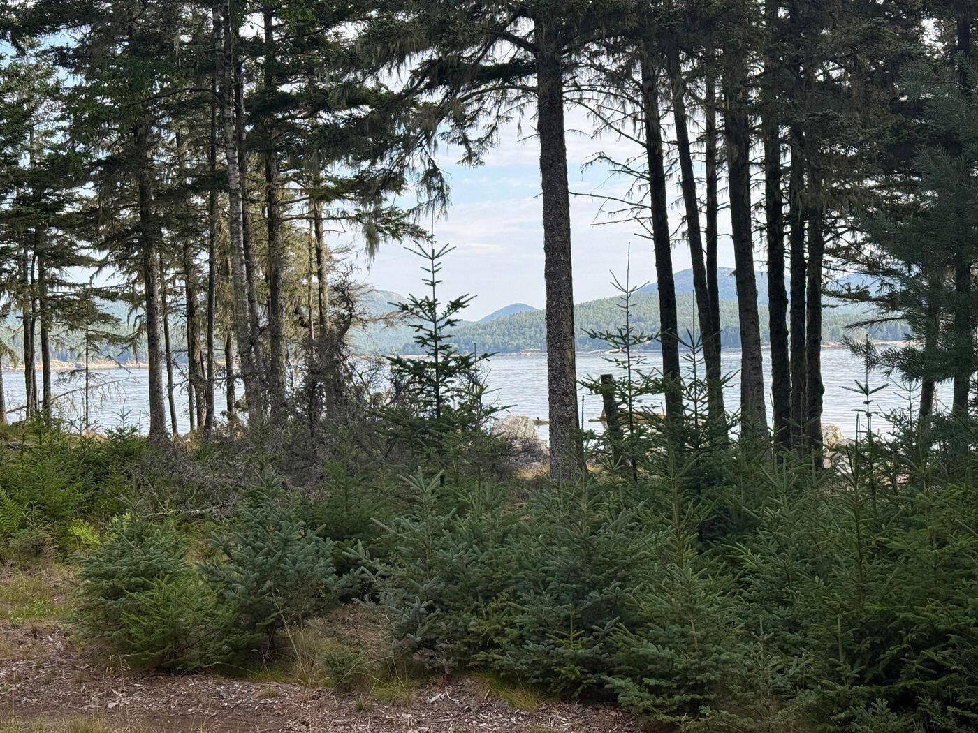 Lot 10-1 N Sutton Island Property Photo 5