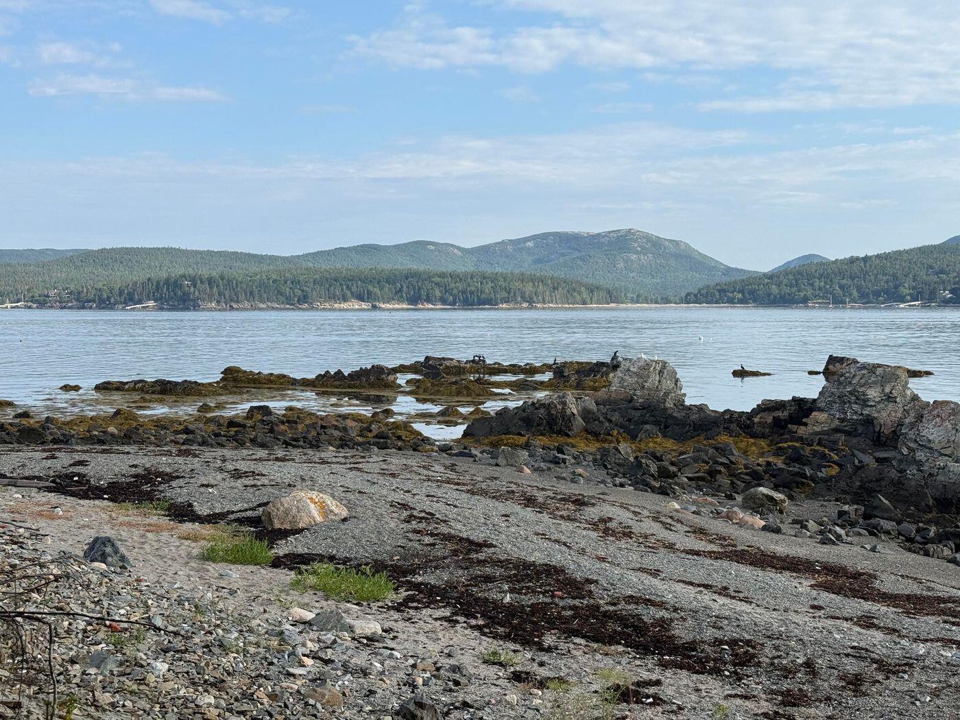 Lot 10-1 N Sutton Island Property Photo 6