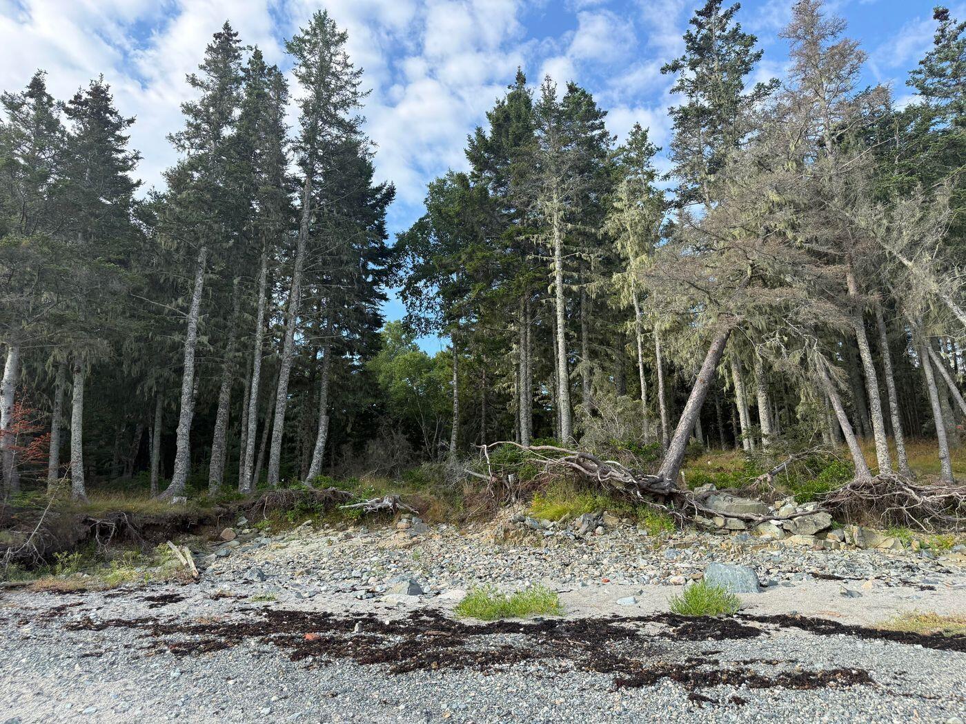 Lot 10-1 N Sutton Island Property Photo 10