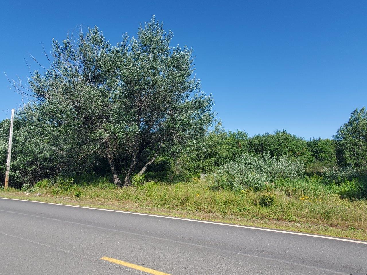 Lot 16 Higgins Hill Road Property Photo 6