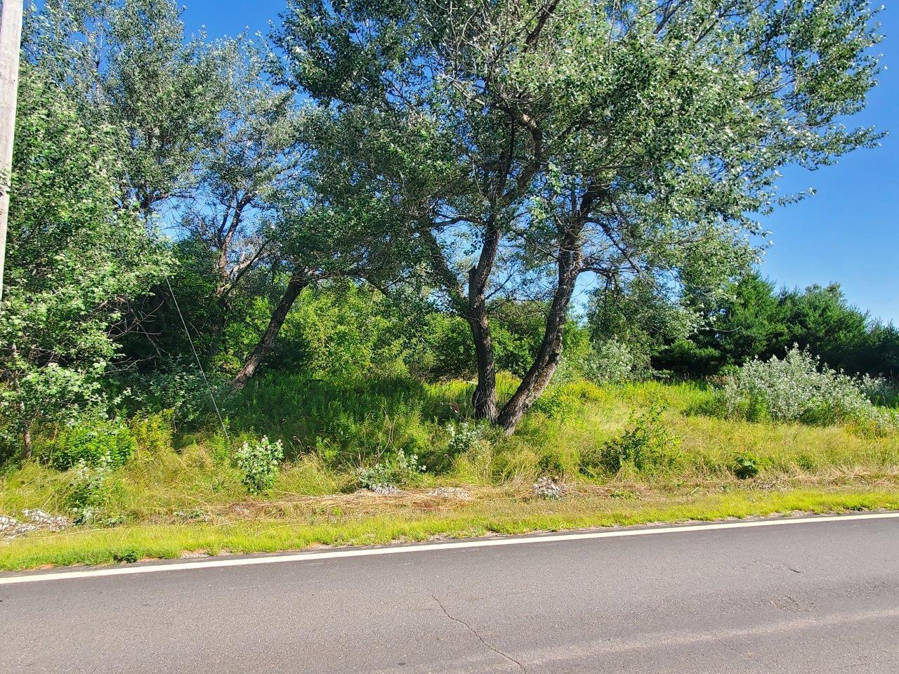 Lot 16 Higgins Hill Road Property Photo 17