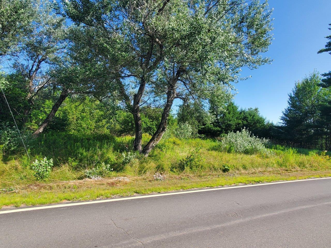 Lot 16 Higgins Hill Road Property Photo 20