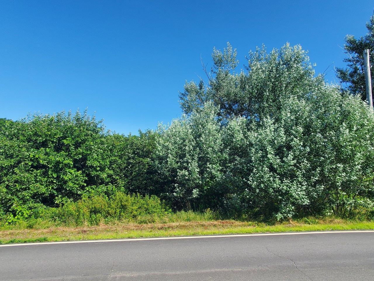 Lot 16 Higgins Hill Road Property Photo 23