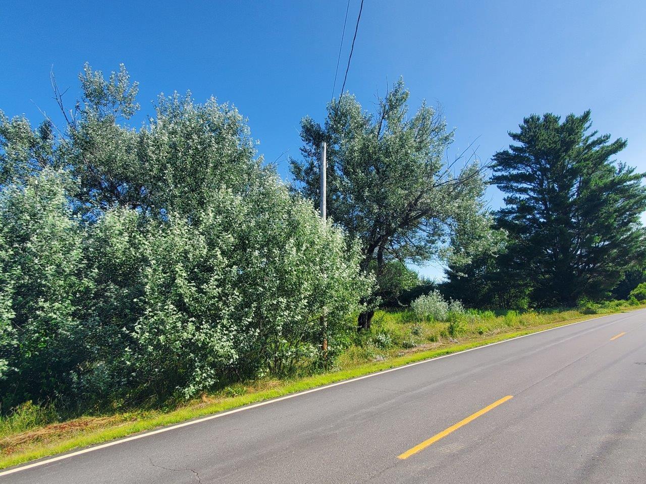 Lot 16 Higgins Hill Road Property Photo 25