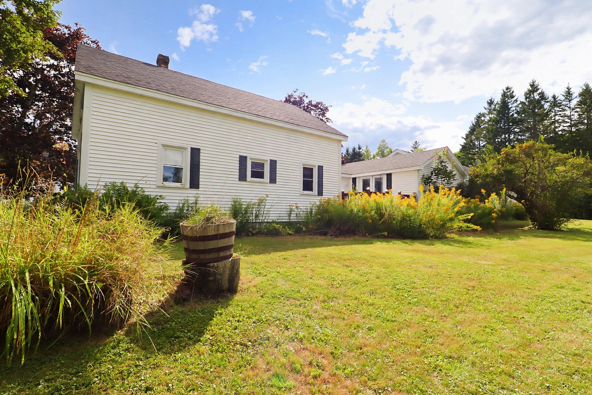 26 Forest Hill Street Property Photo 7